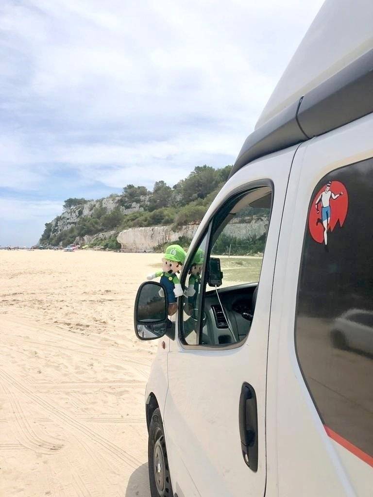 Renault Trafic 2,0 l 90 ch