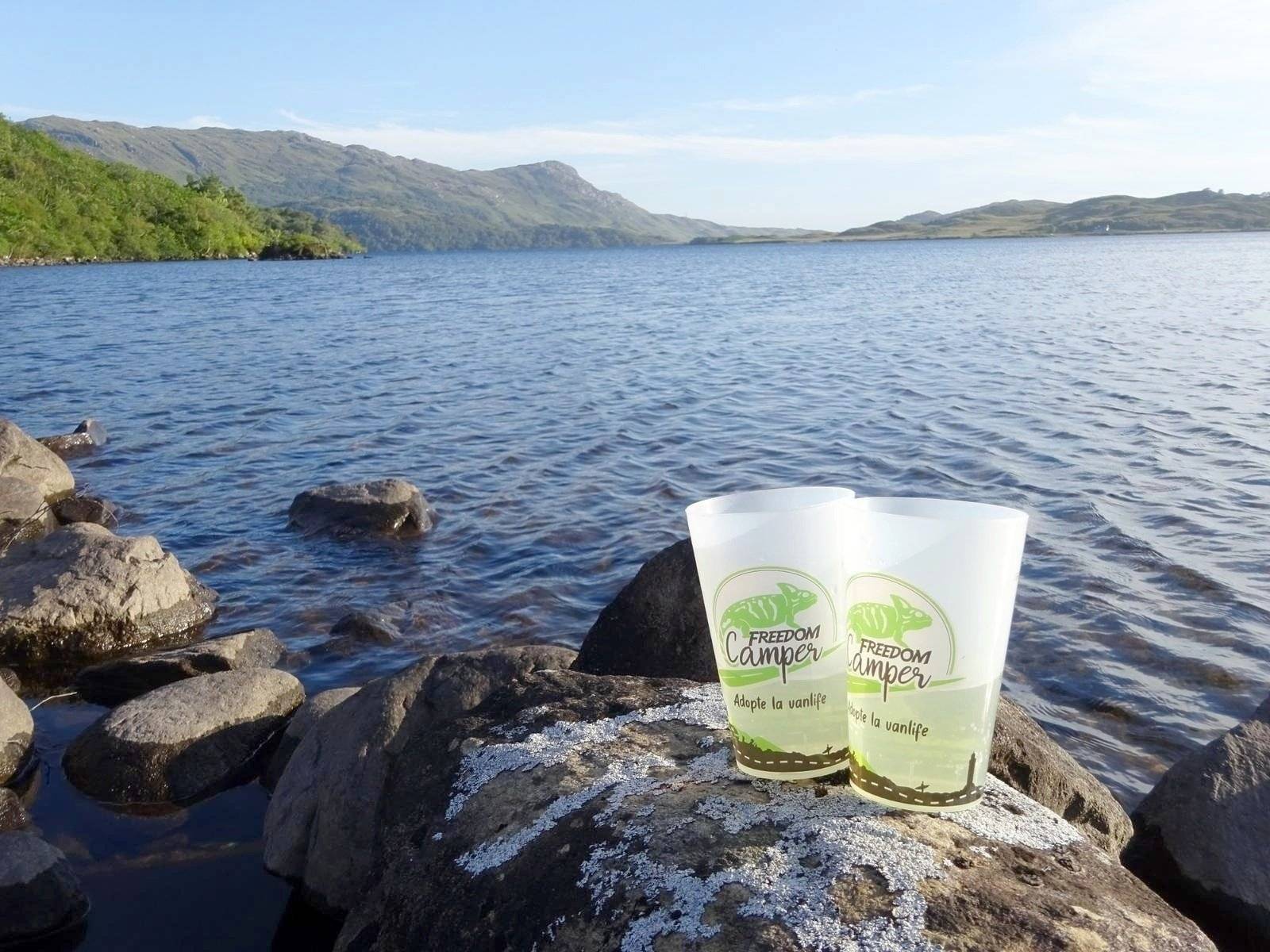 Van Mania Van Mania North East