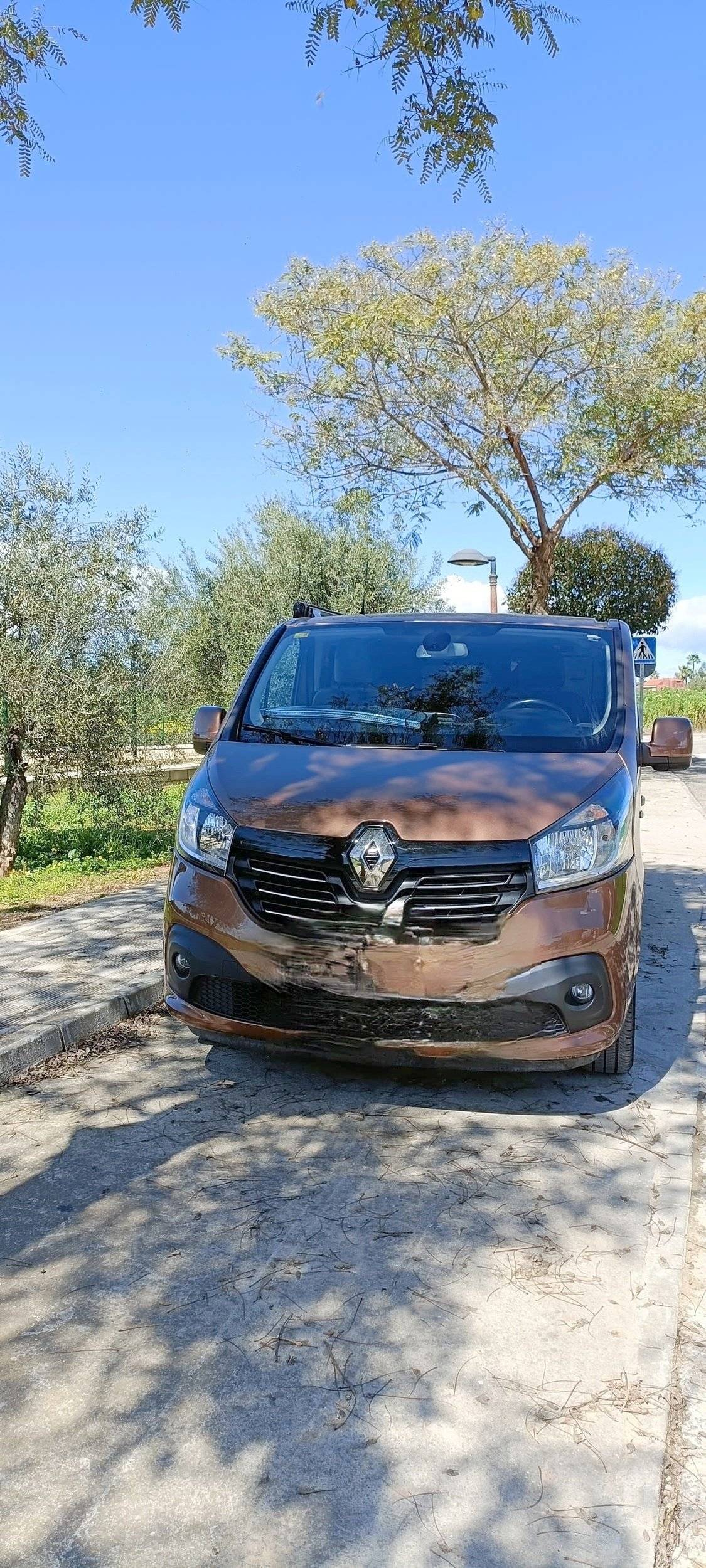 Renault TRAFFIC 2,0l 90 CH