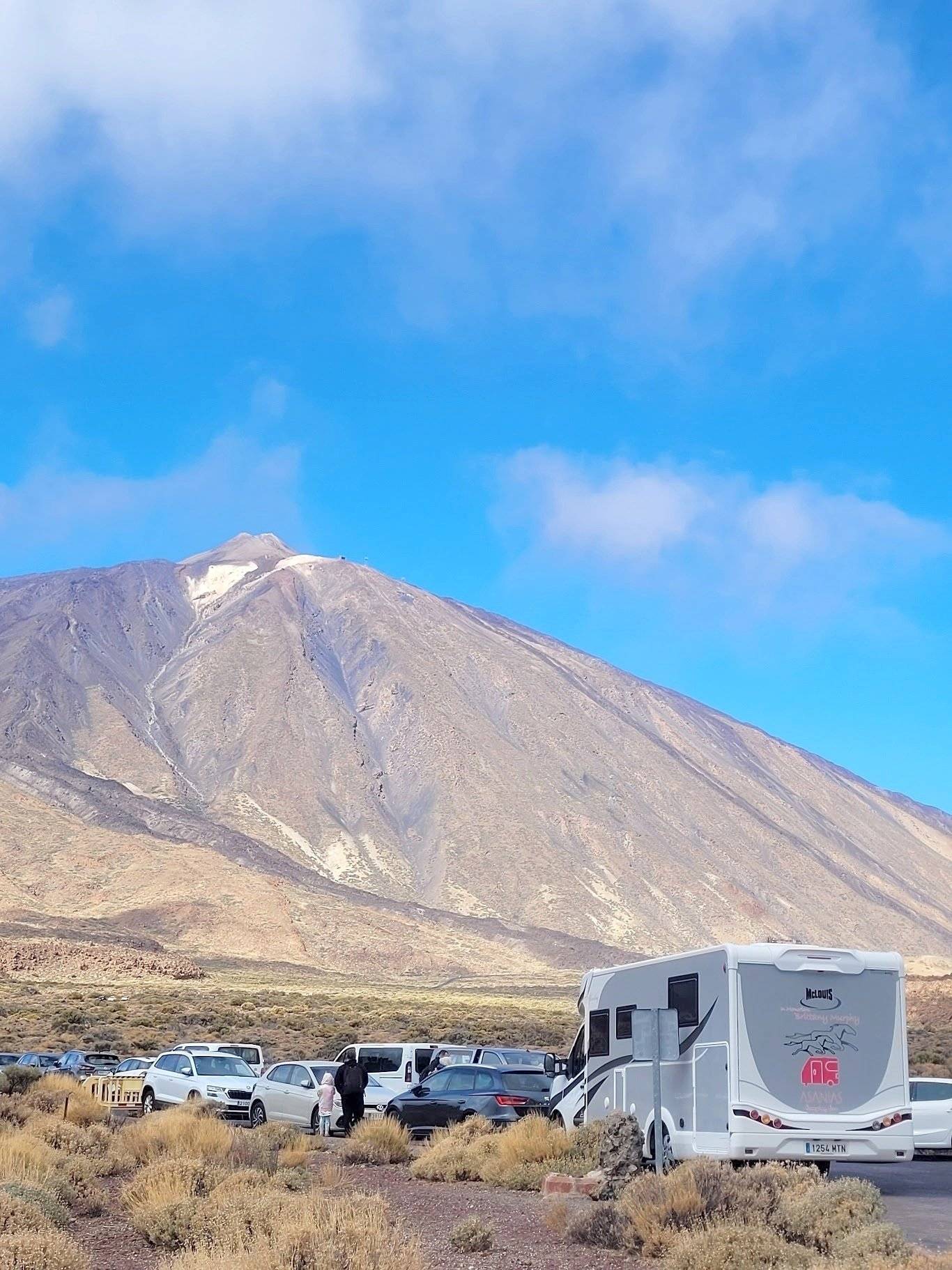 Mclouis Mclouis Yearling 89