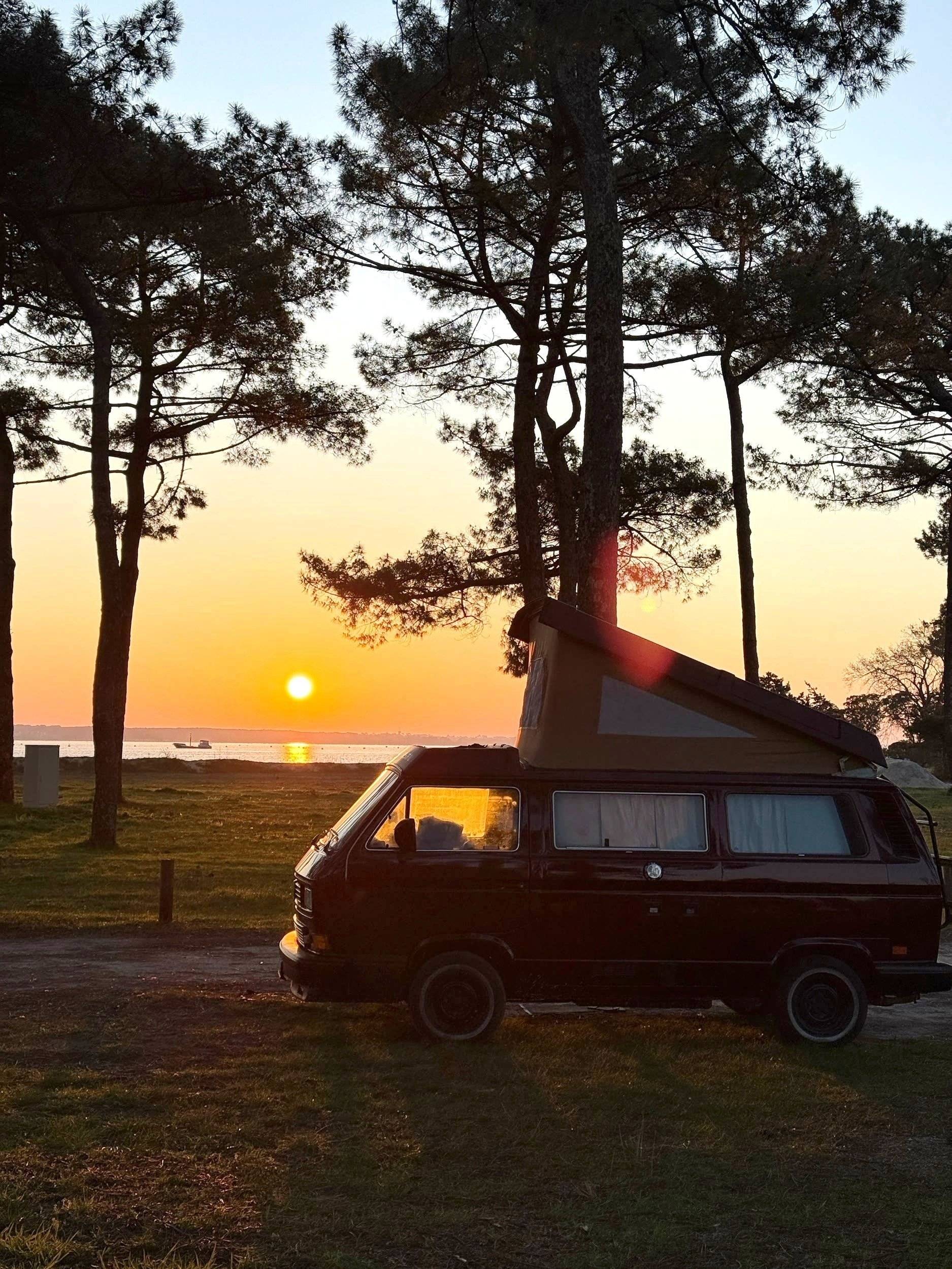 Westfalia Joker