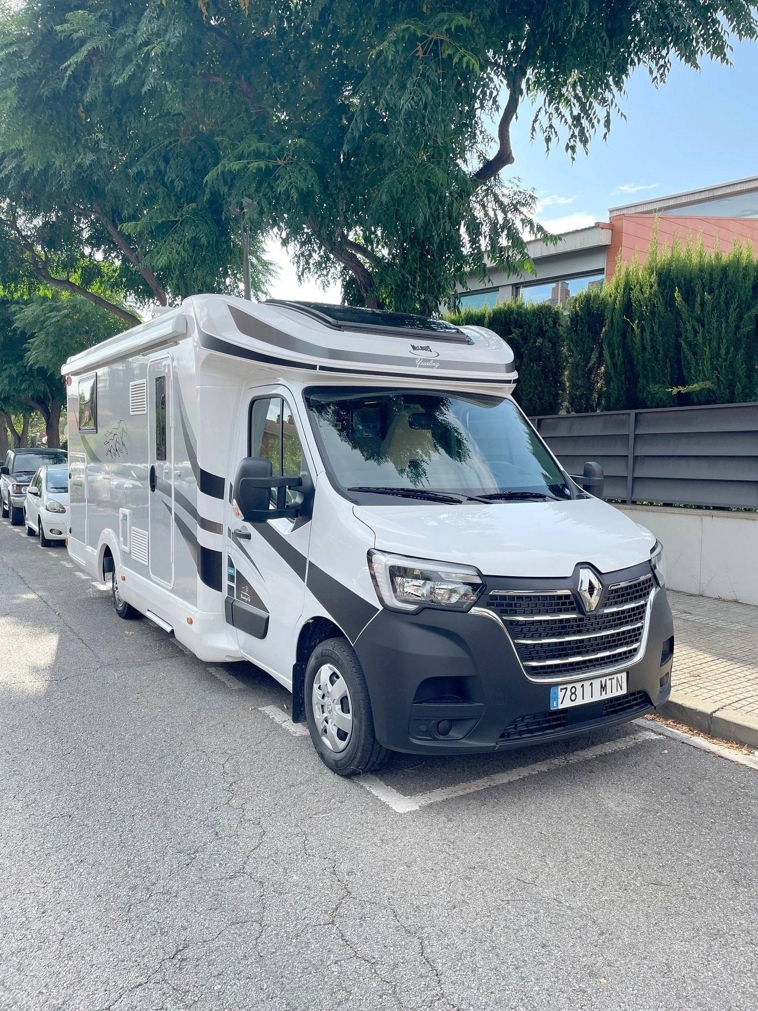 Mclouis Mclouis Yearling 83