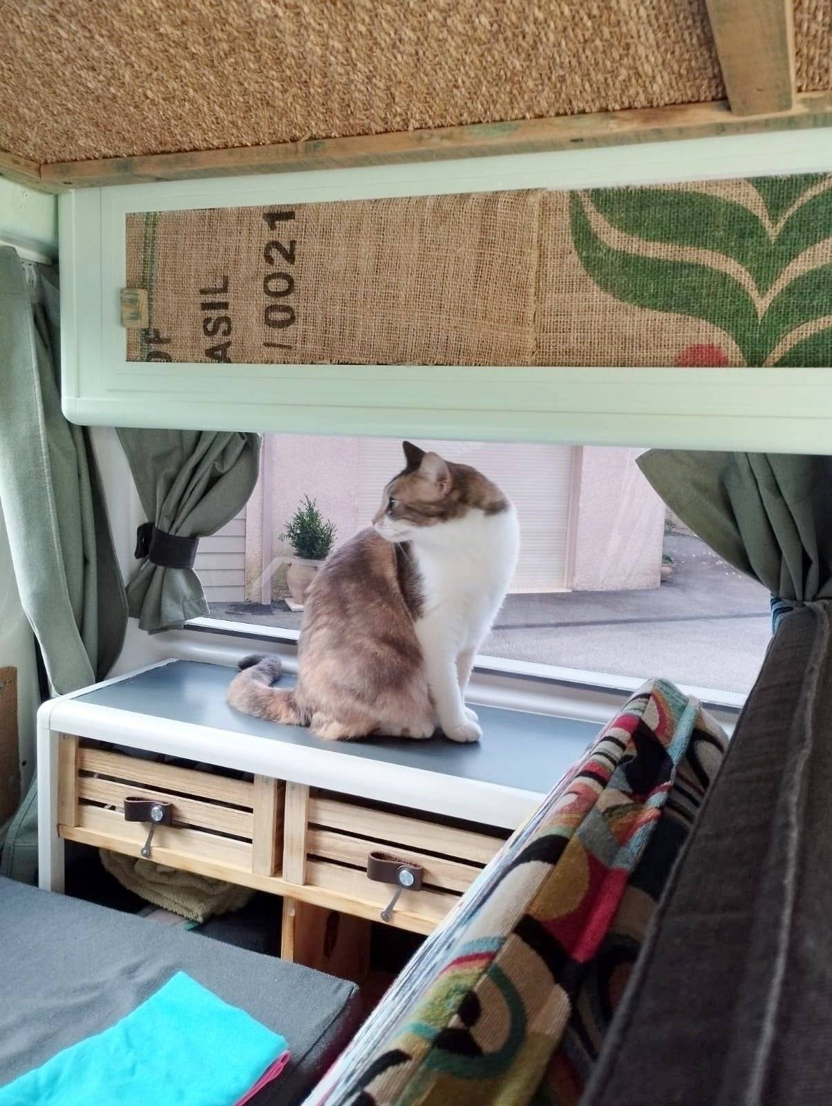 Personnel Volkswagen T4