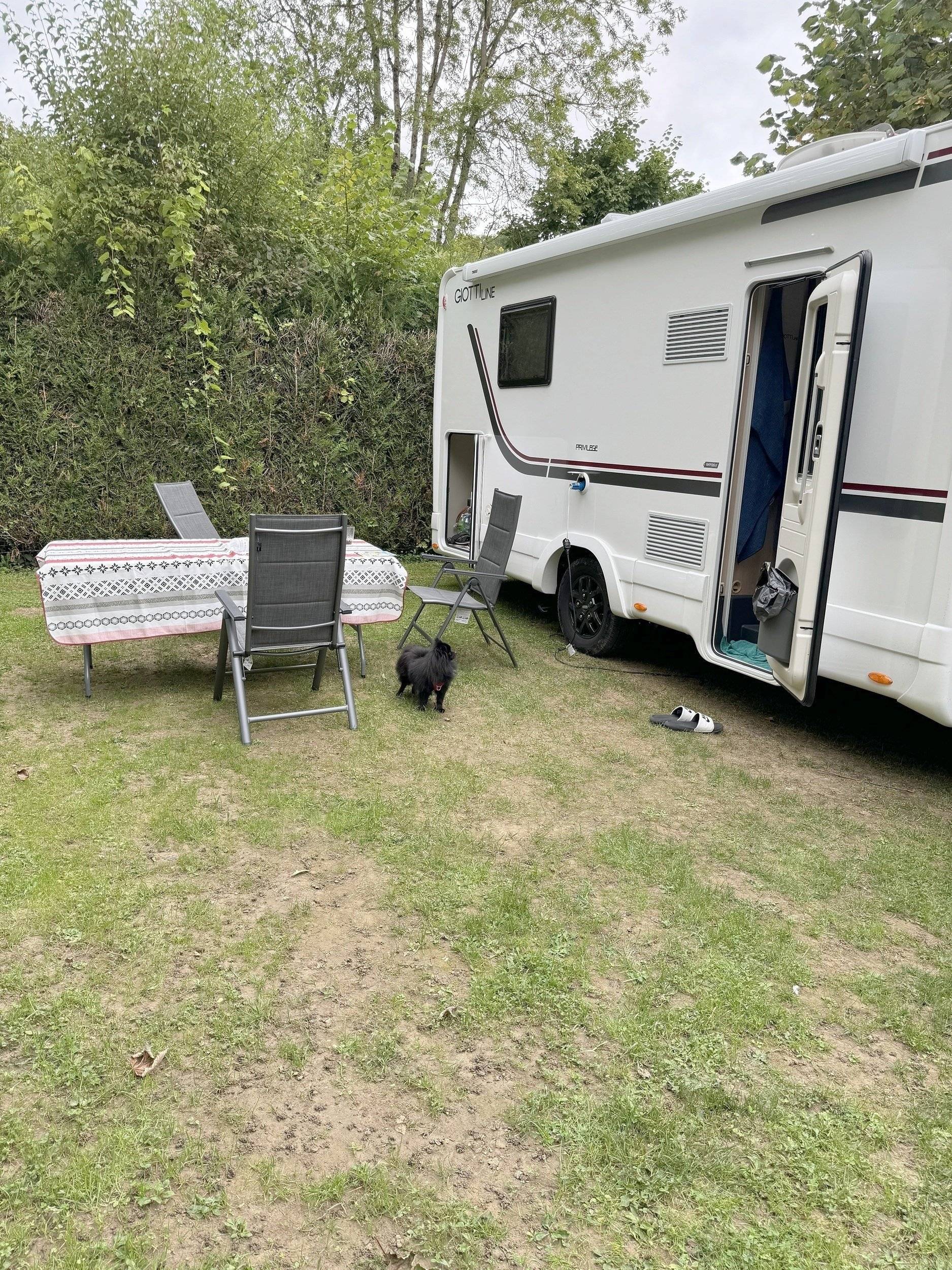 Giottiline SIENA 397