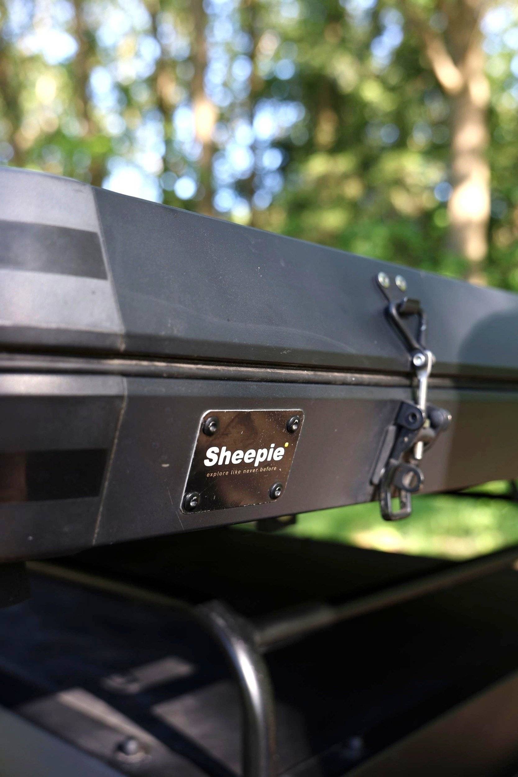 Sheepie 