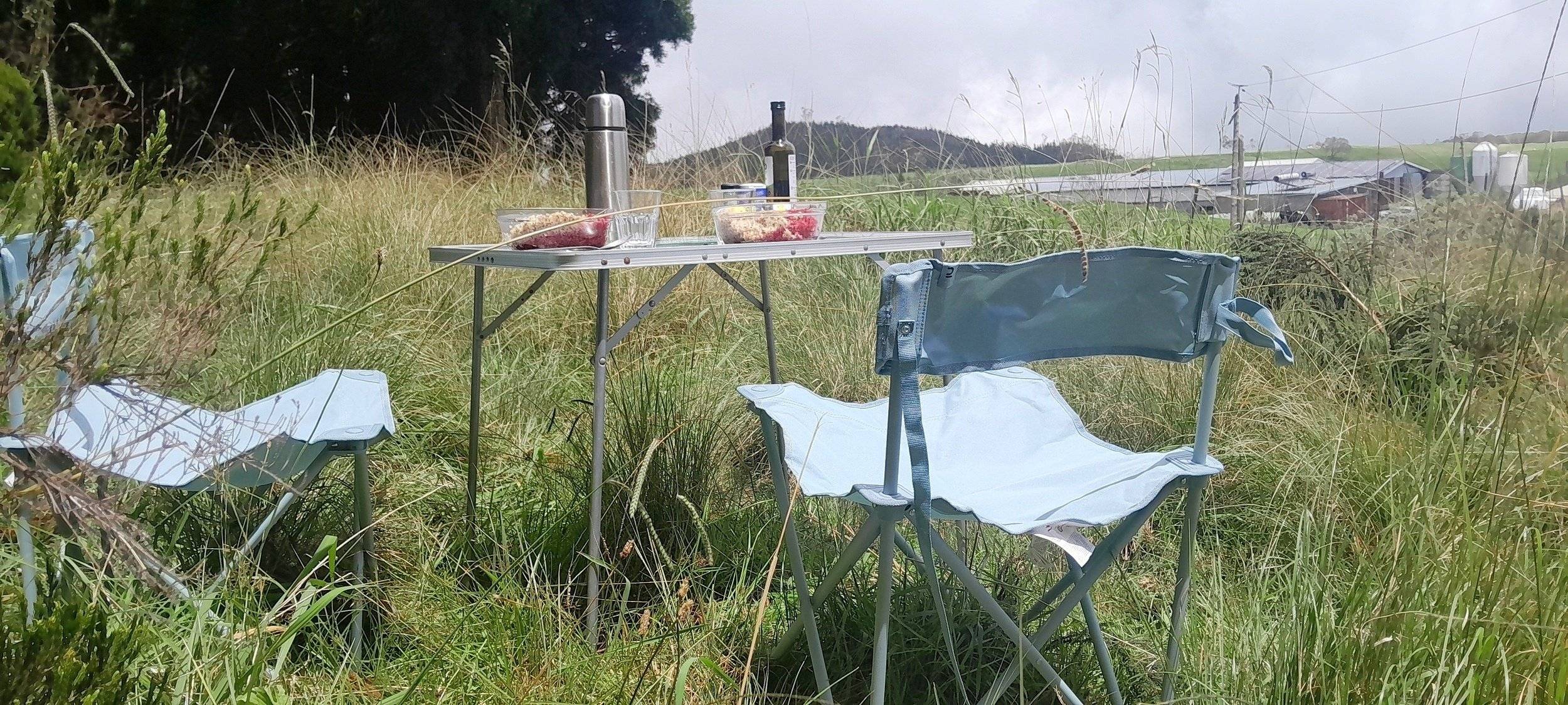 Volkswagen Volkswagen T6