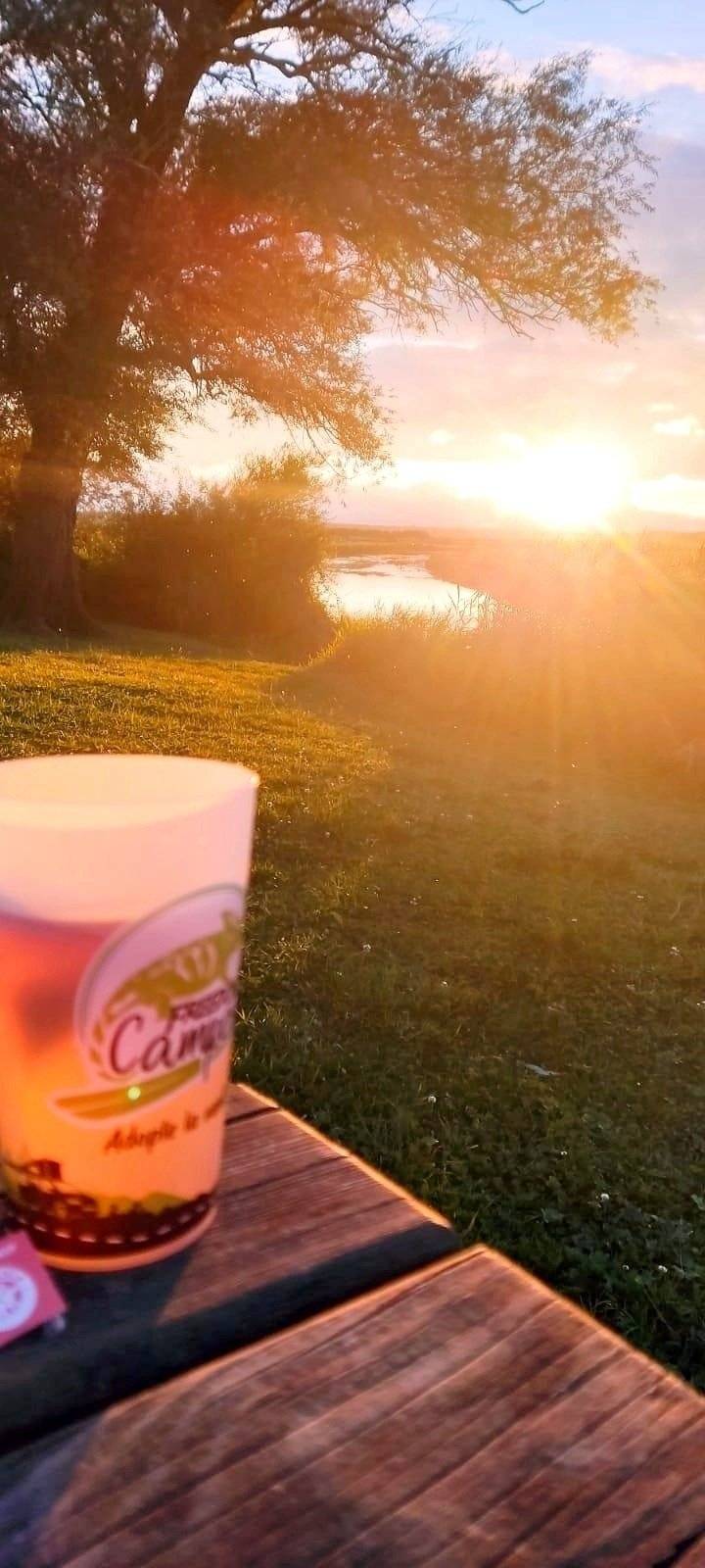 Van Mania SOUTH WEST By freedom camper