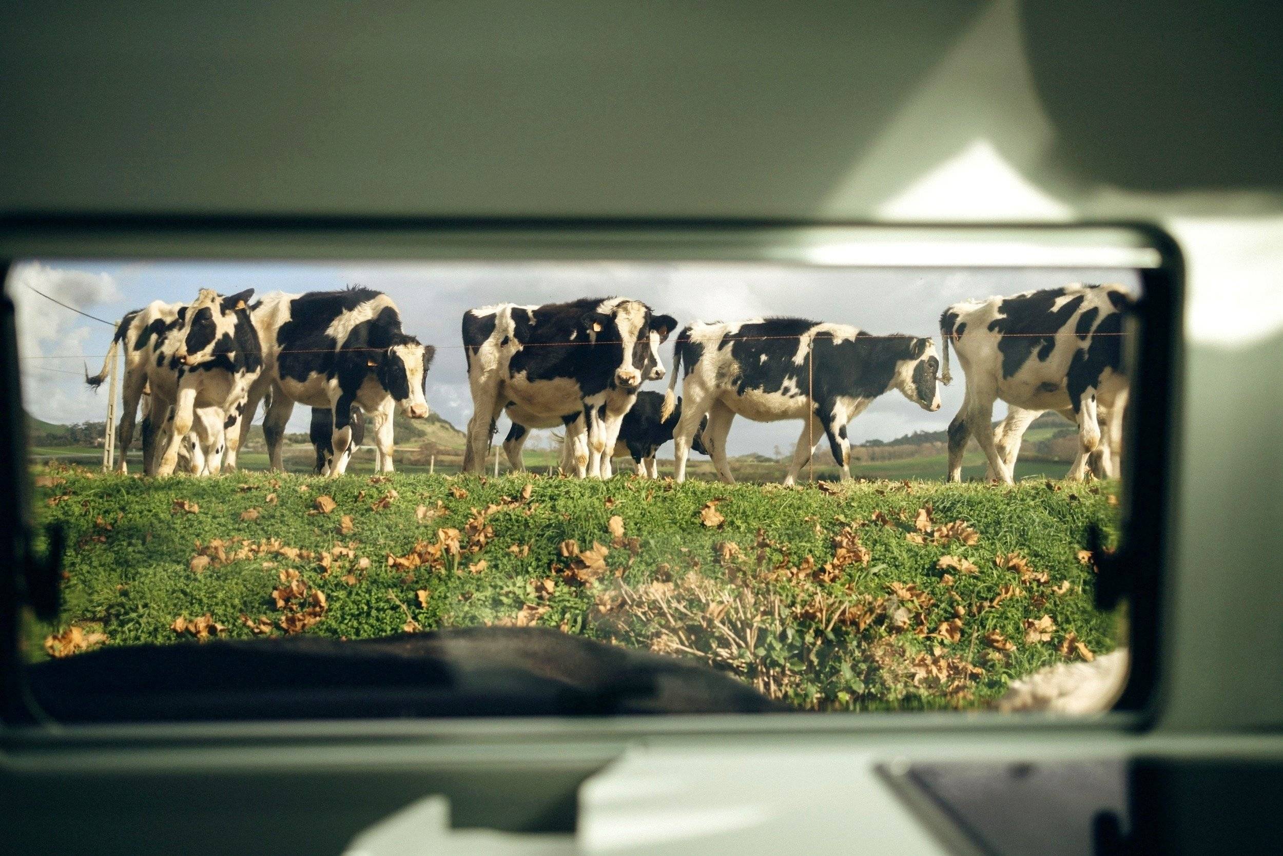 Volkswagen Volkswagen Grand California 600