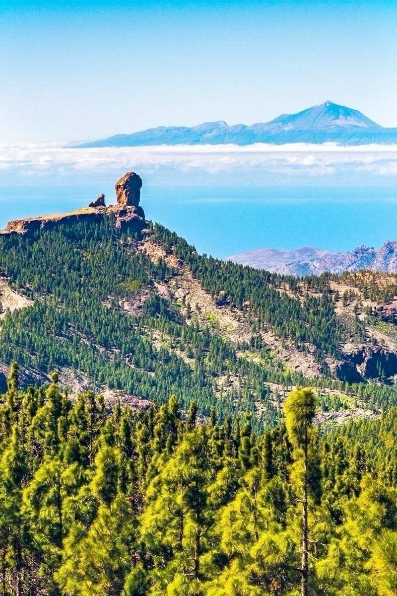 Movano Movano Camper