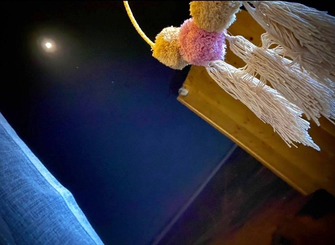 Renault Master 2,5 l dCi 100 ch.