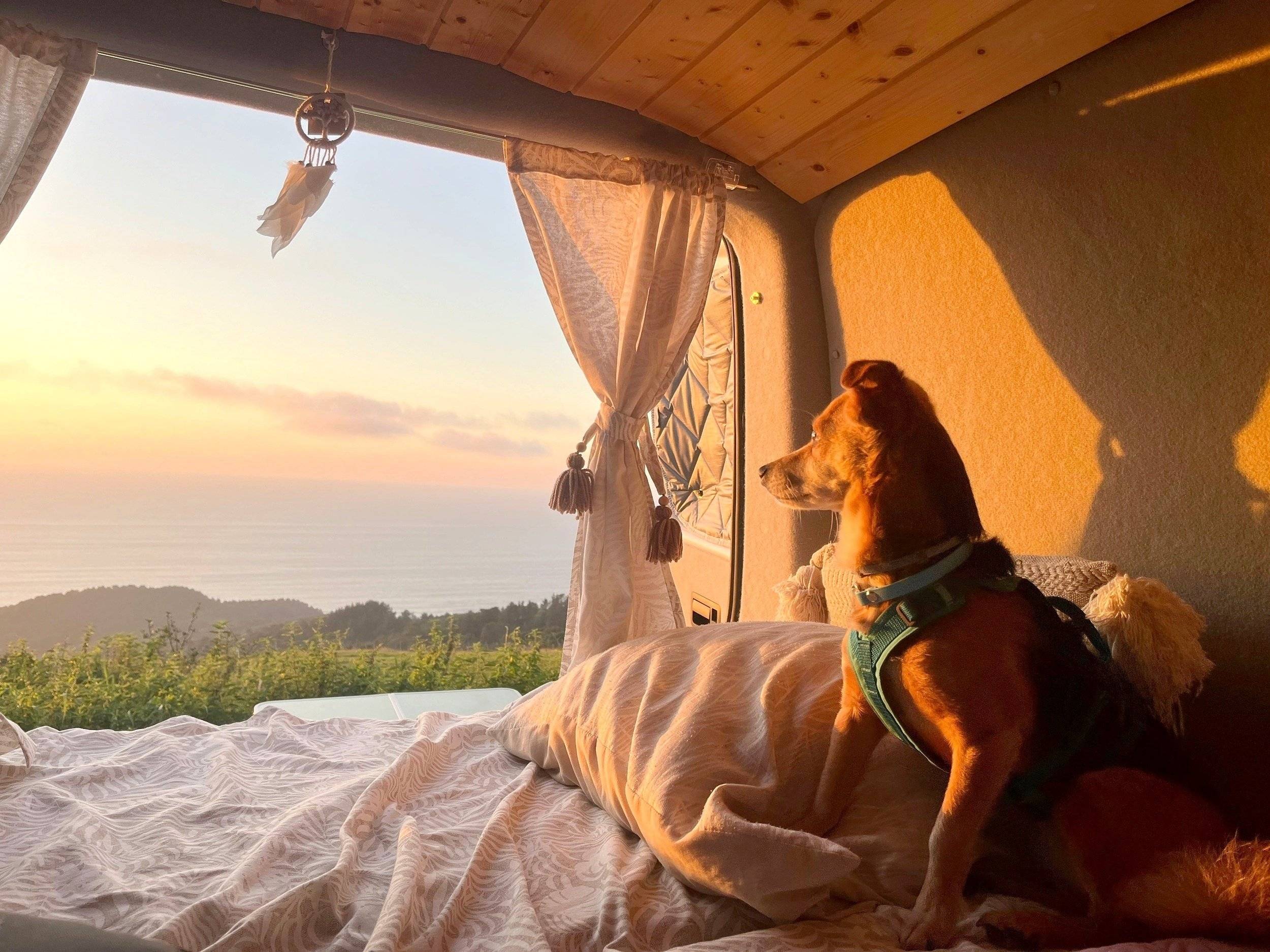 Volkswagen Volkswagen transporter T5