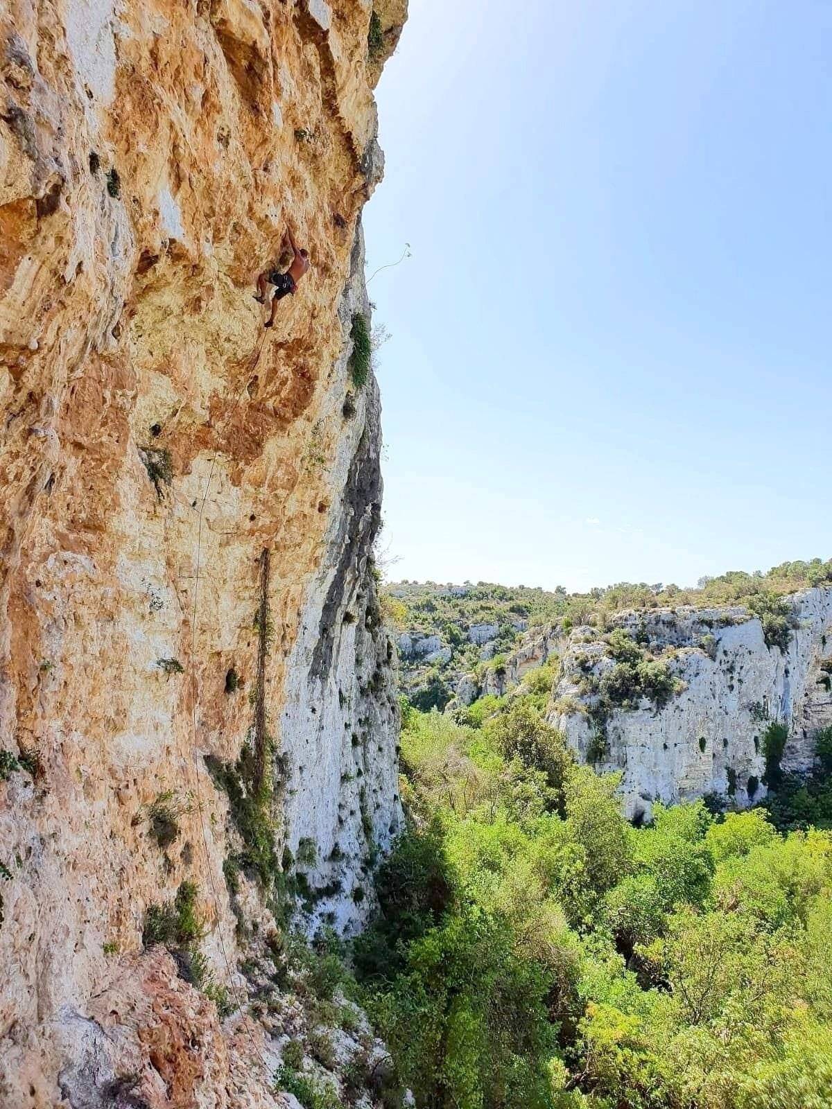 Westfalia T4 California