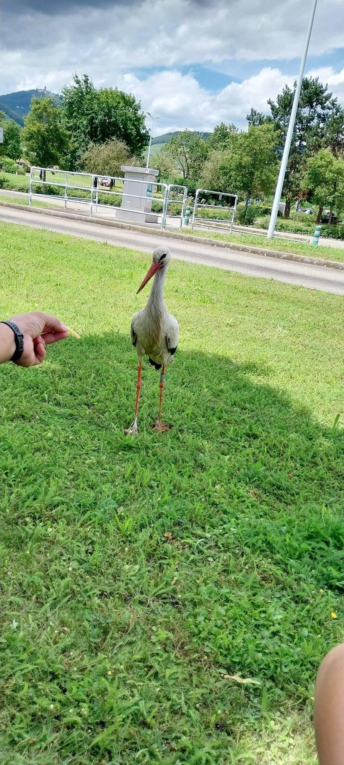 review photo thumbnail