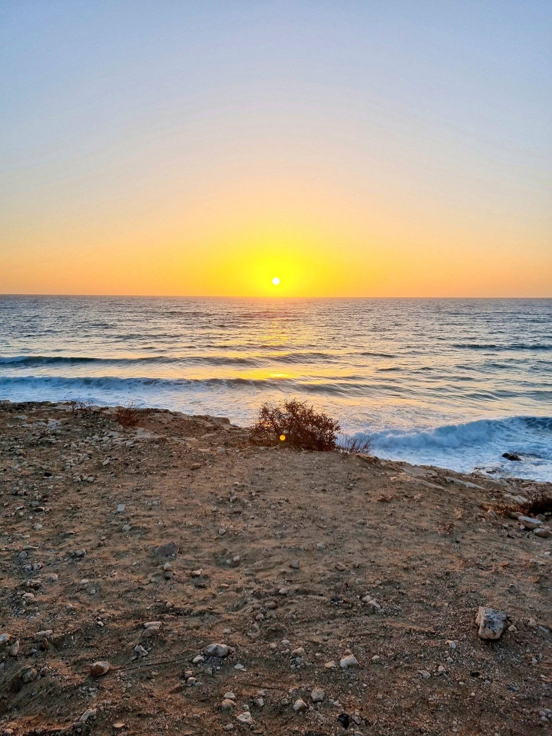 Volkswagen Volkswagen T5