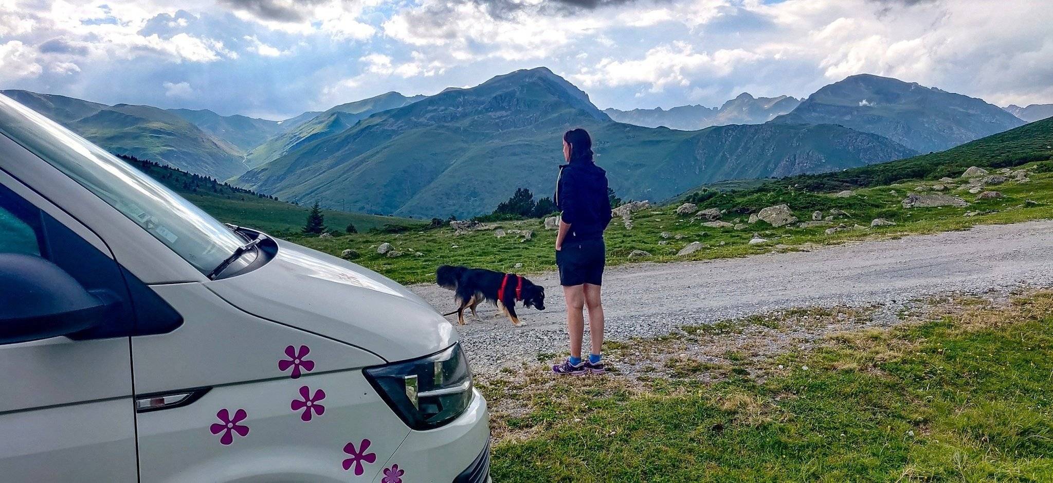 Volkswagen CALIFORNIA T6 2 l TDI 150 ch