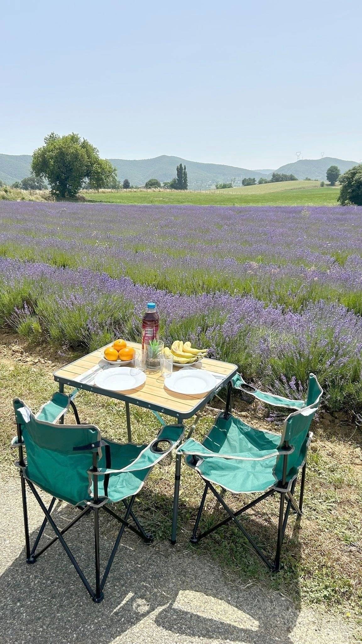 3 C Cartier/Brisebras RENAULT TRAFIC III 1.6 ENERGY DCI 145 TWIN TURBO EU6 L1H1 2.7T