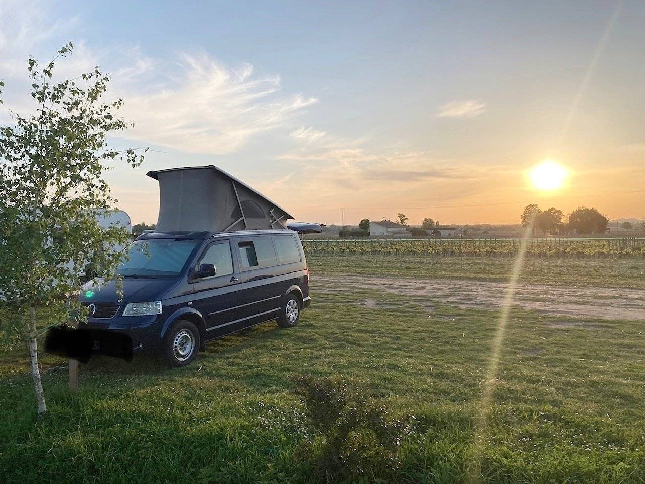 Volkswagen California Confort