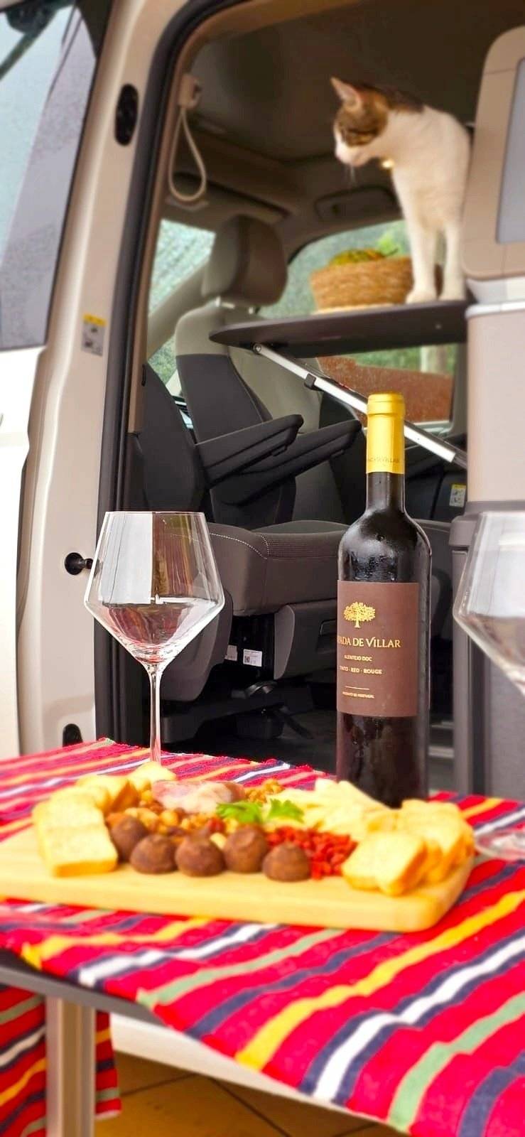 Car Caravane VOLKSWAGEN T7 CALIFORNIA COAST