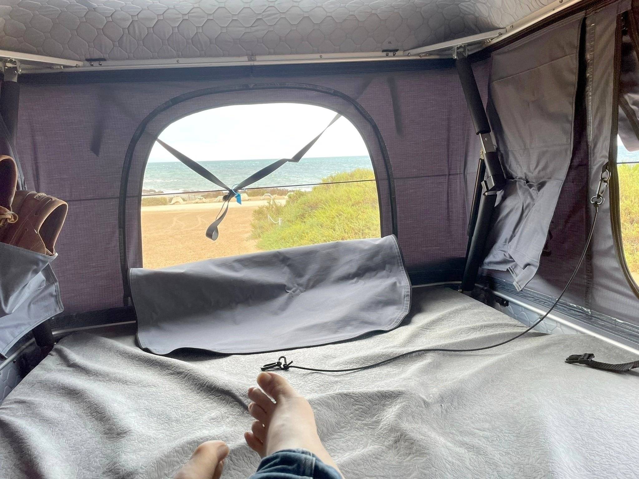 Ci 65 Special Edition