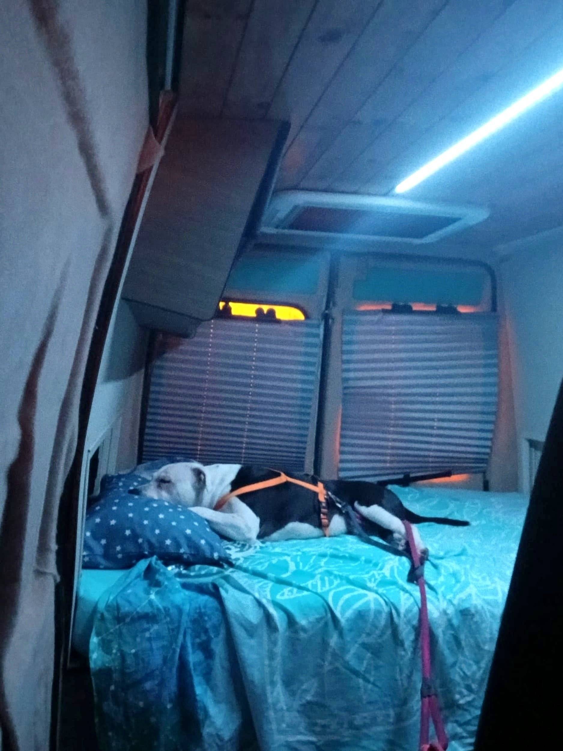 Couchages Citroën Citroen jumper 2.5l - Yescapa