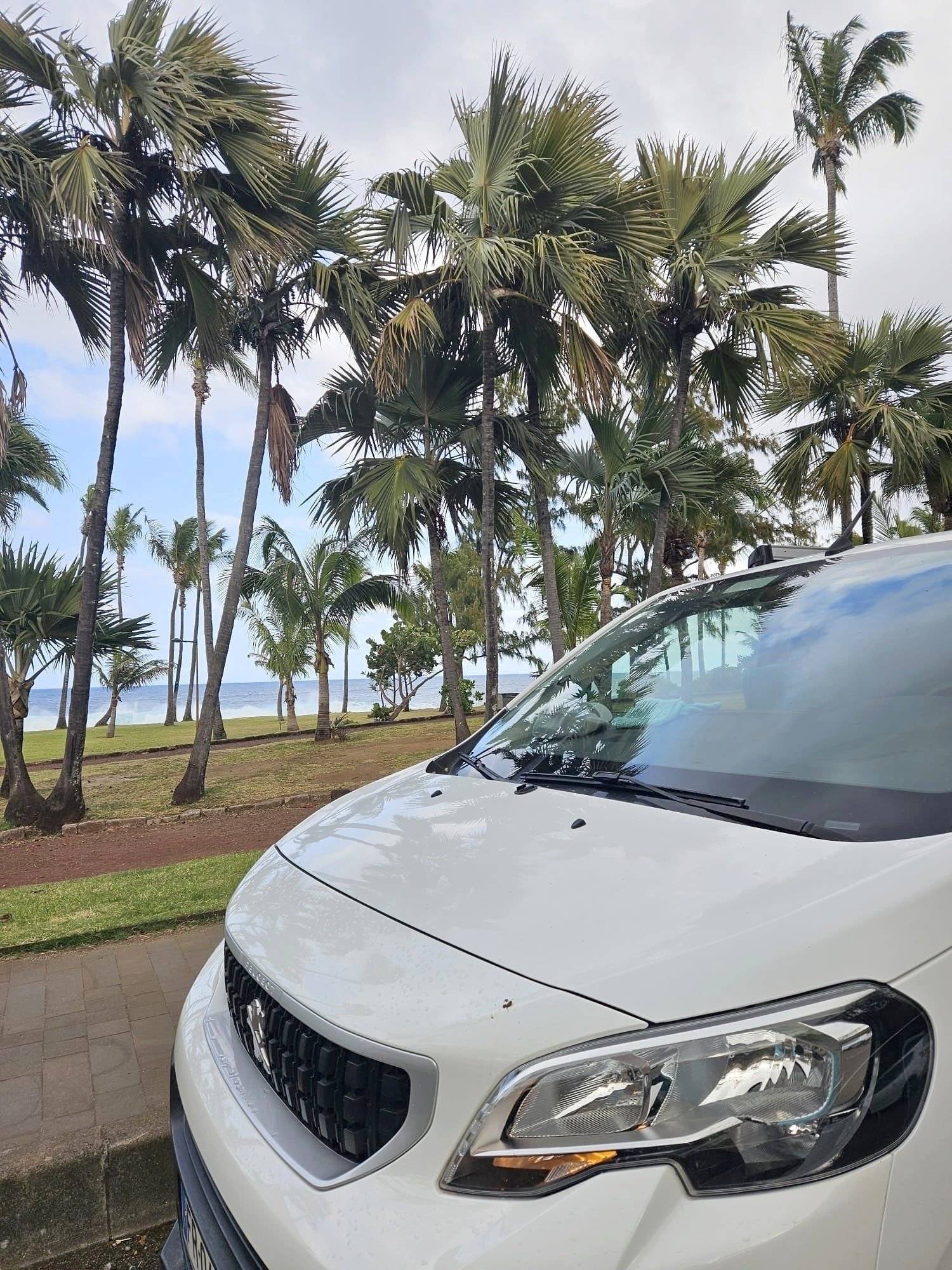 Pilote peugeot expert 