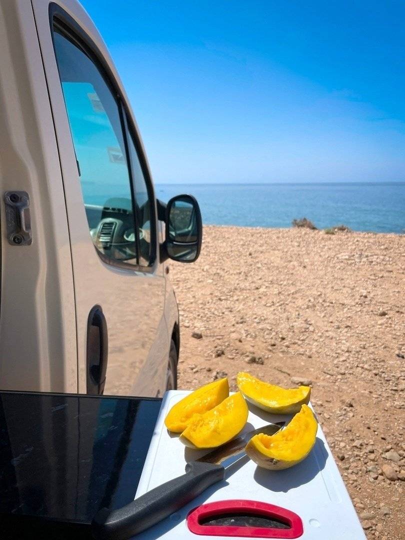 Renault Renault trafic