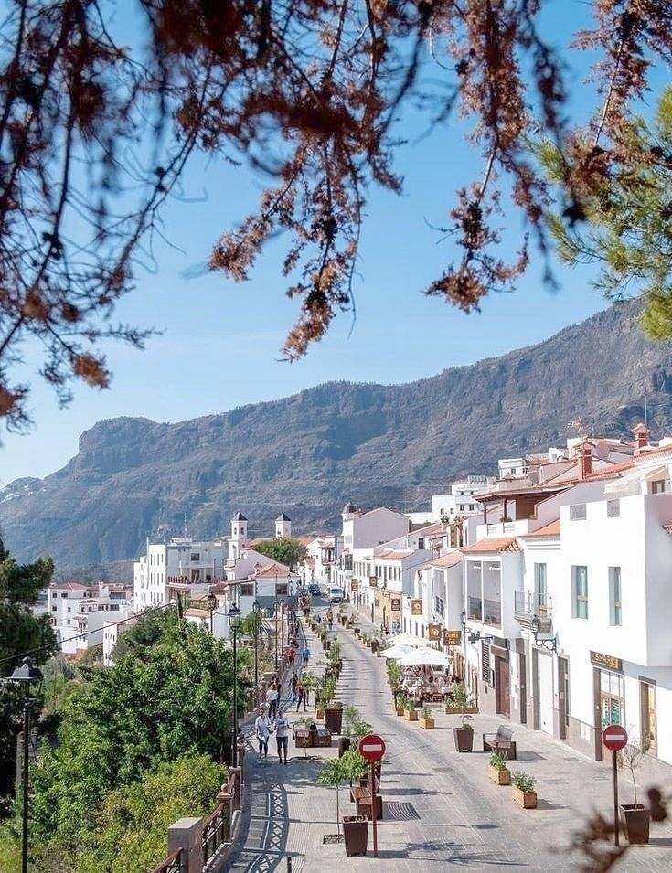 P.L.A. Citroën jumper