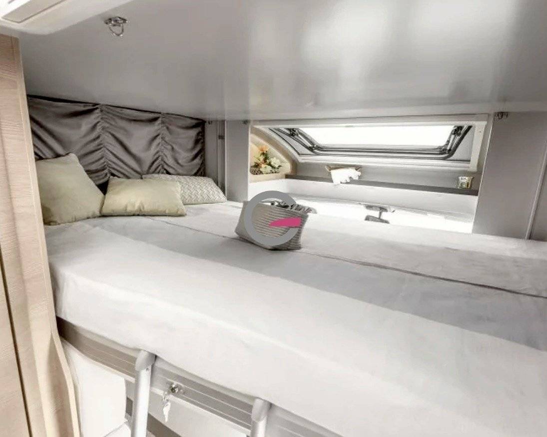 Giottiline siena 385