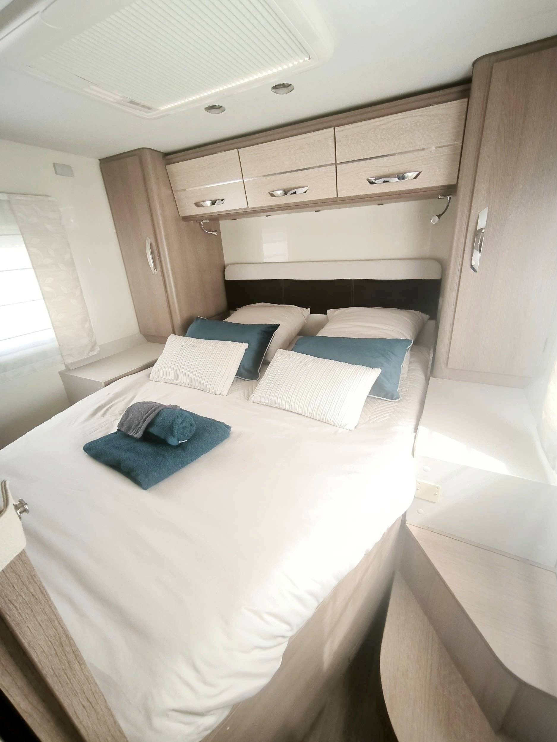 Mclouis yearling
