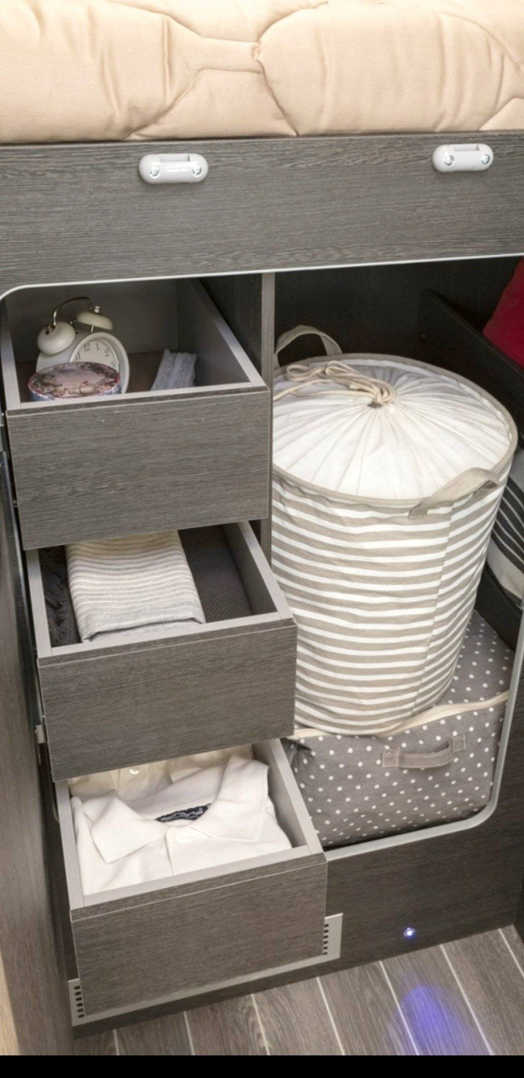 Roller Team roller team