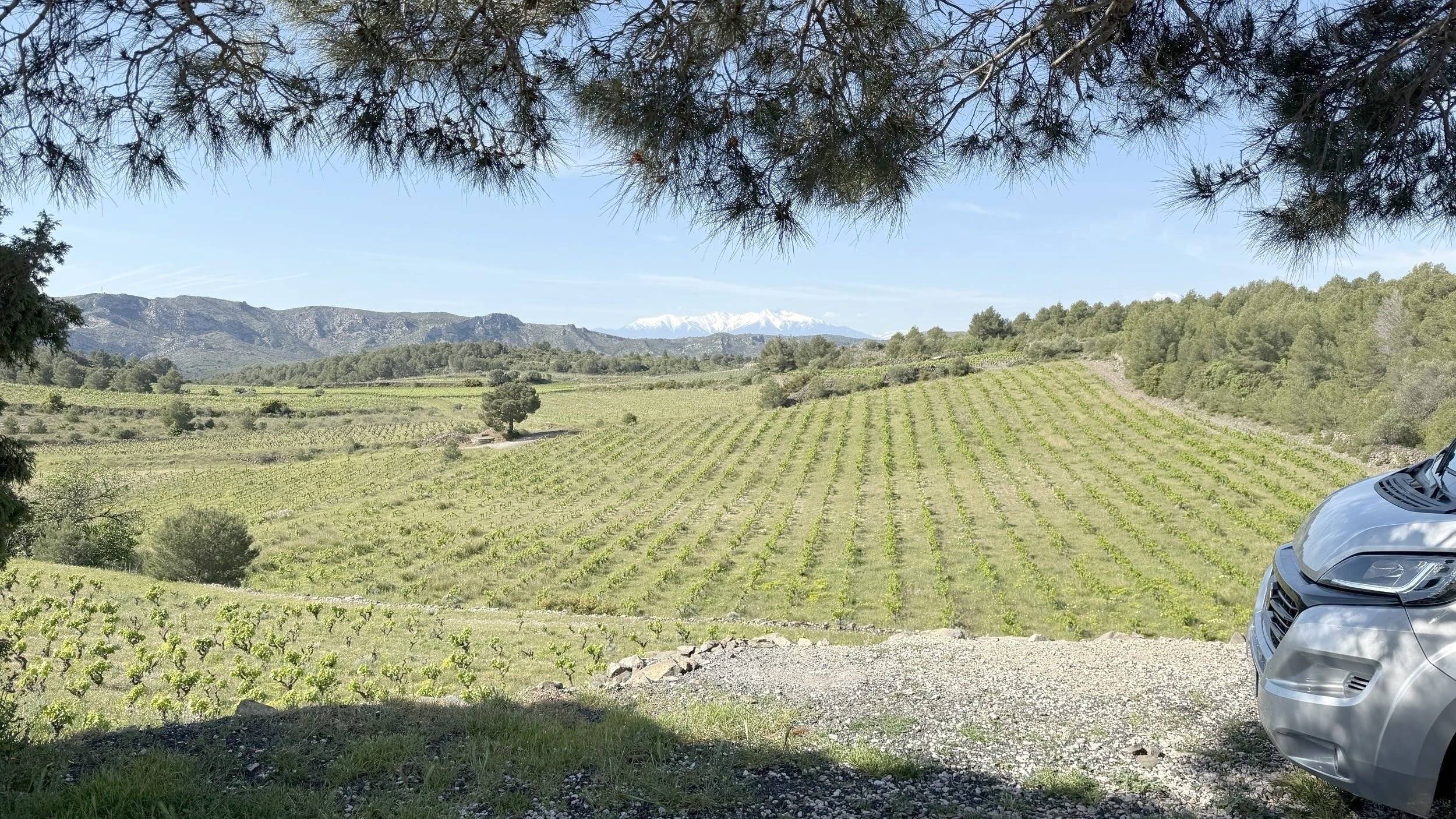 Campérêve Campervan XL Limited