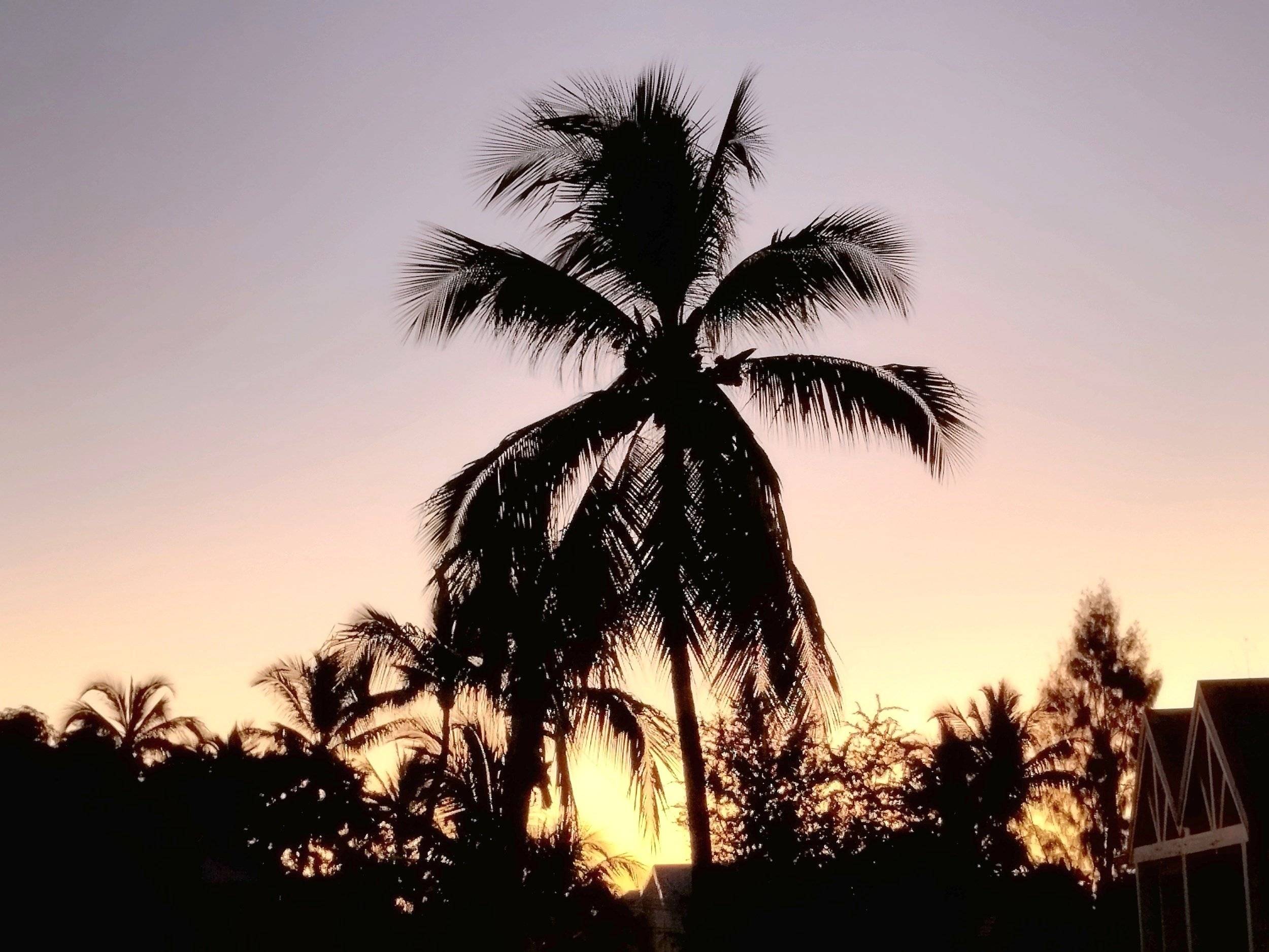 Volkswagen T6.1 California Coast 150ch