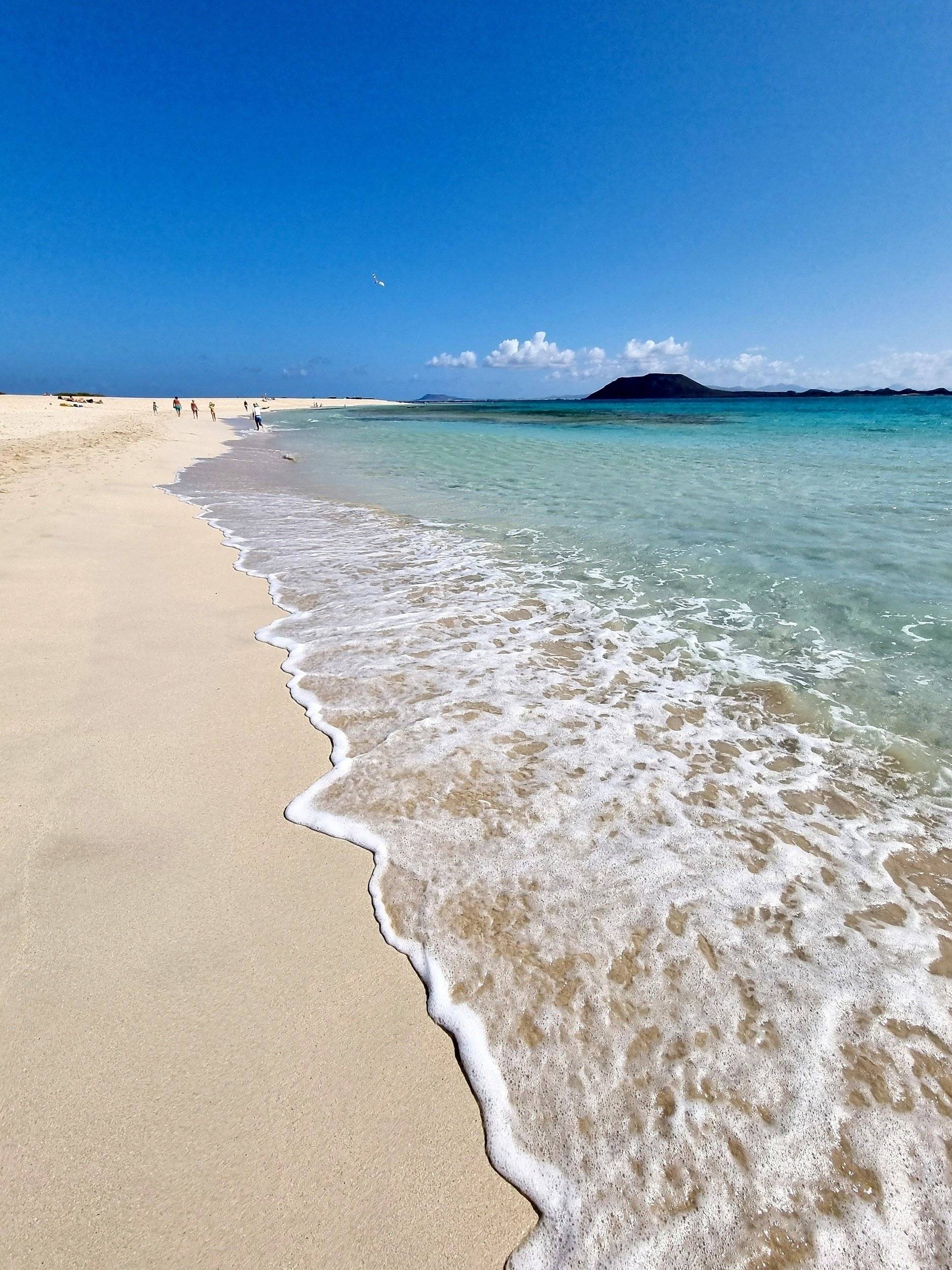 Volkswagen Volkswagen T5