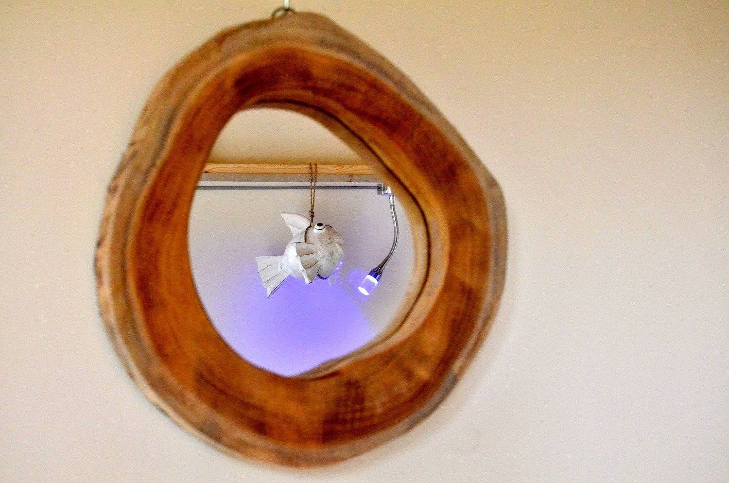 Mercedes T1 310 "Conny"