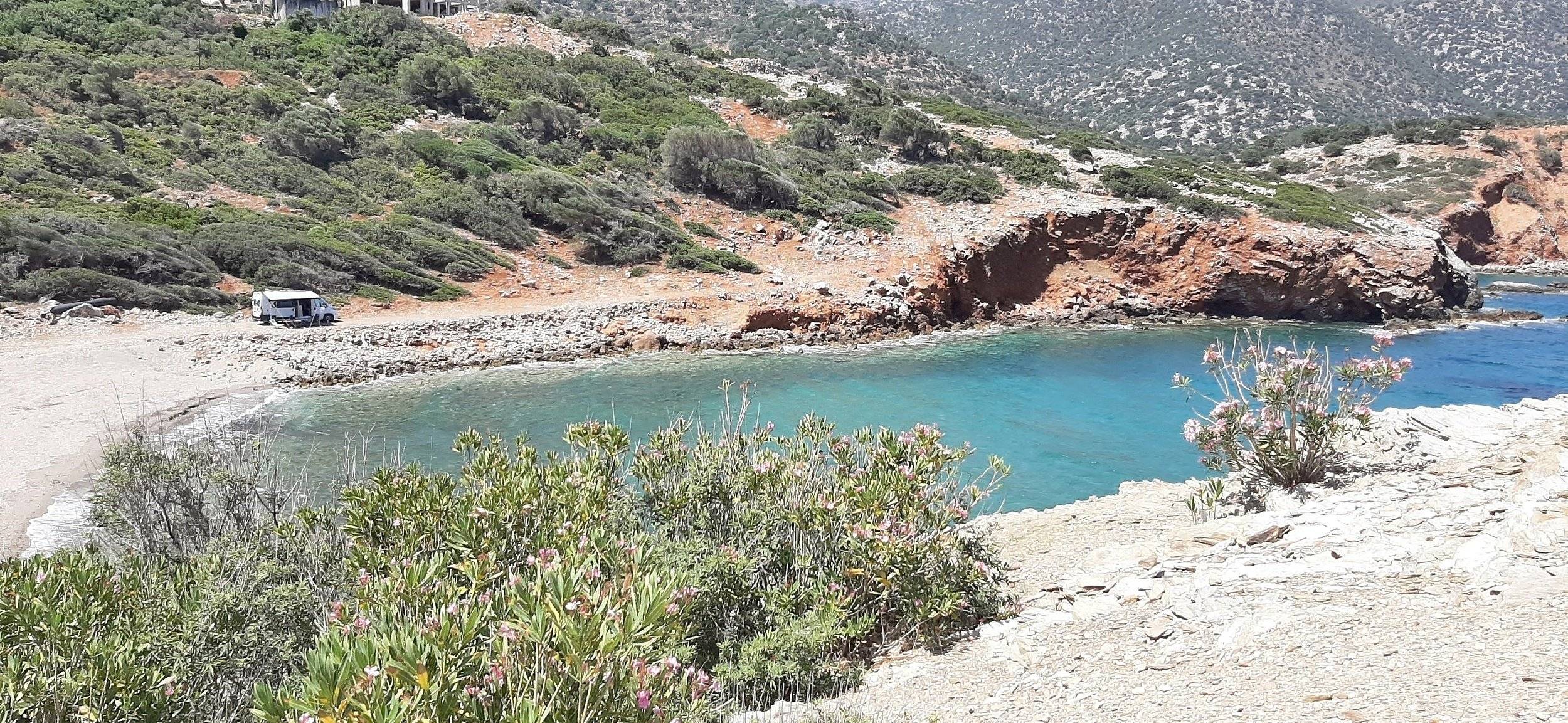 Dreamer D55 exclusive