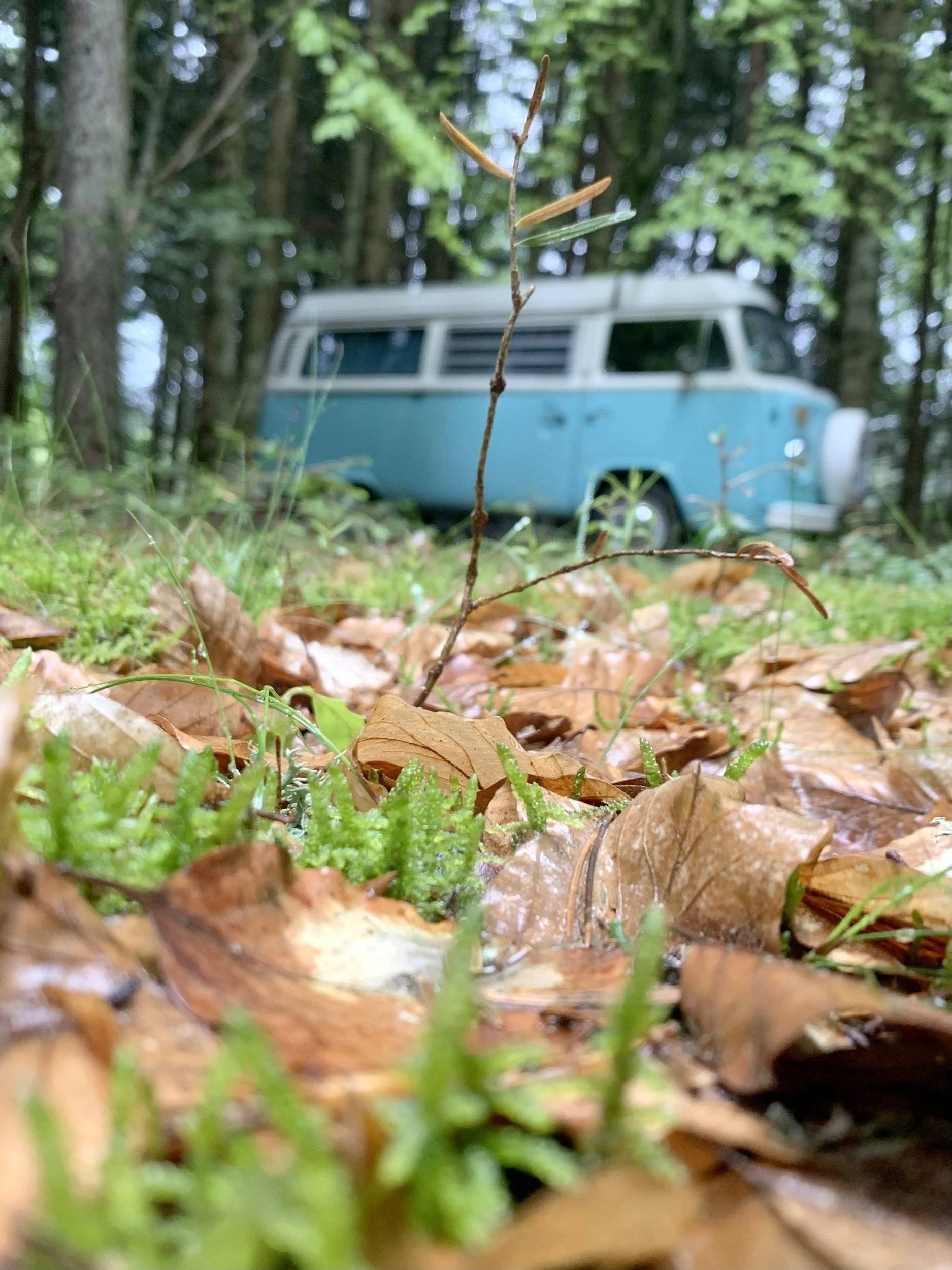 Westfalia Kombi T2 Westfalia