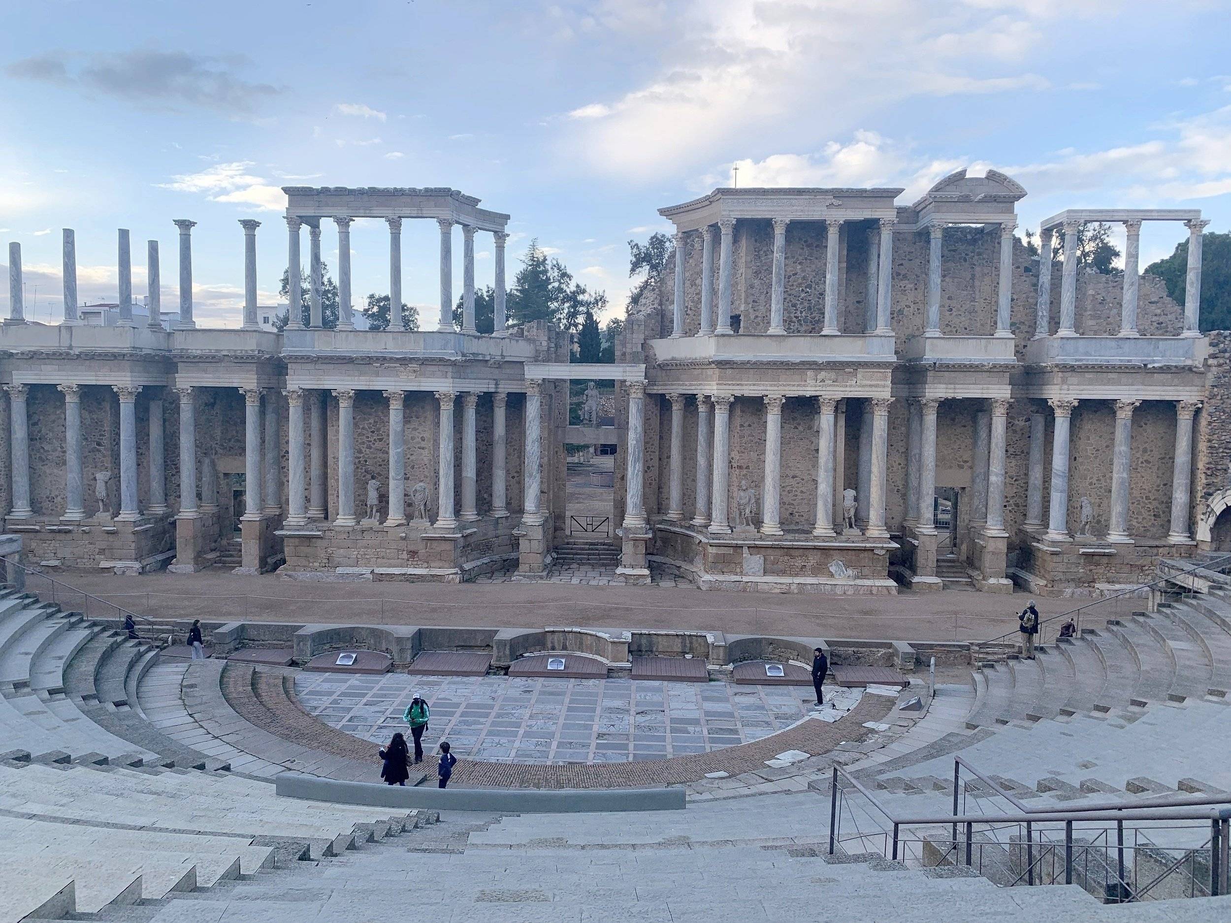 Pilote P706 C Essentiel