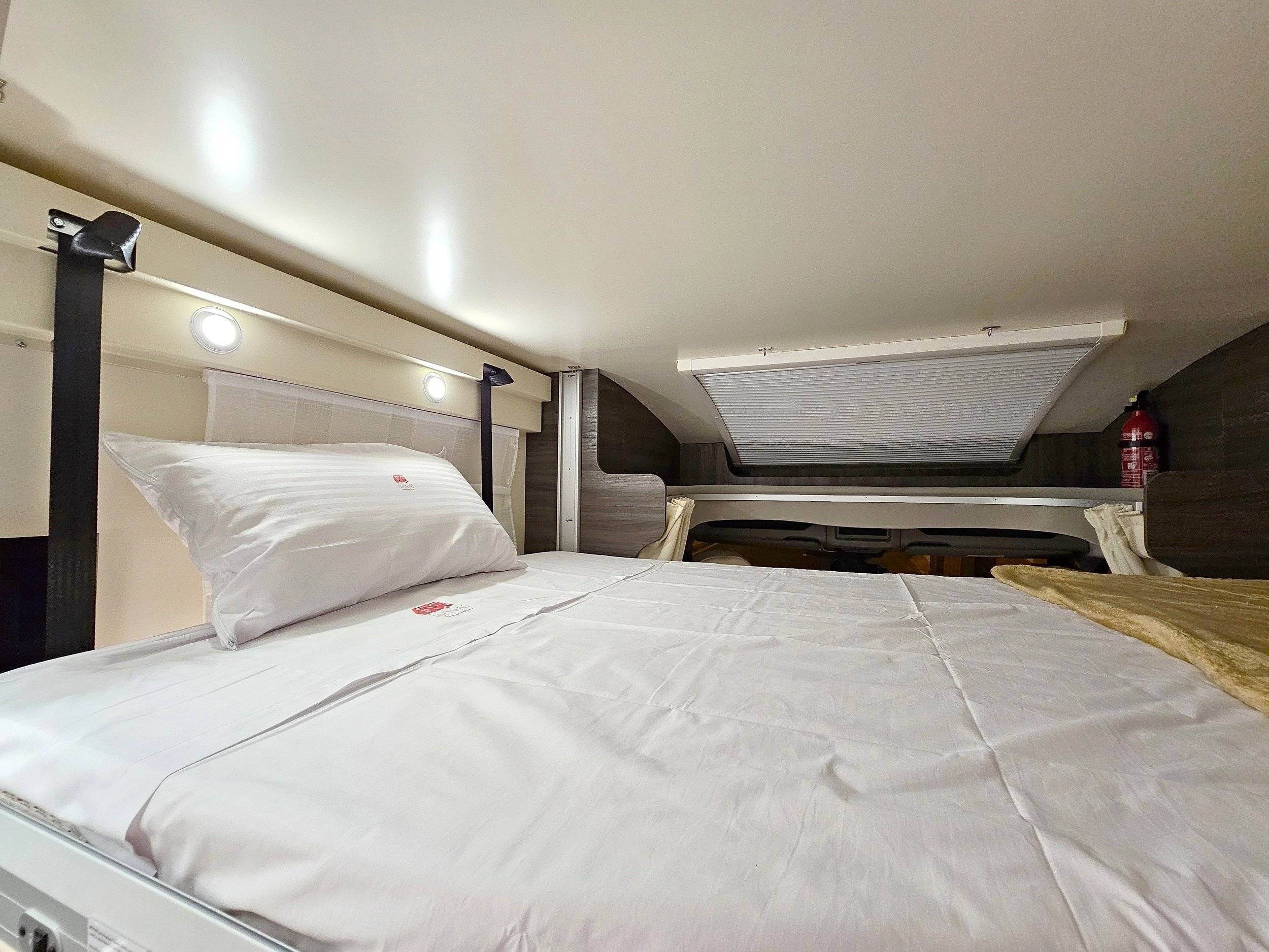 Mclouis Mclouis Yearling 89