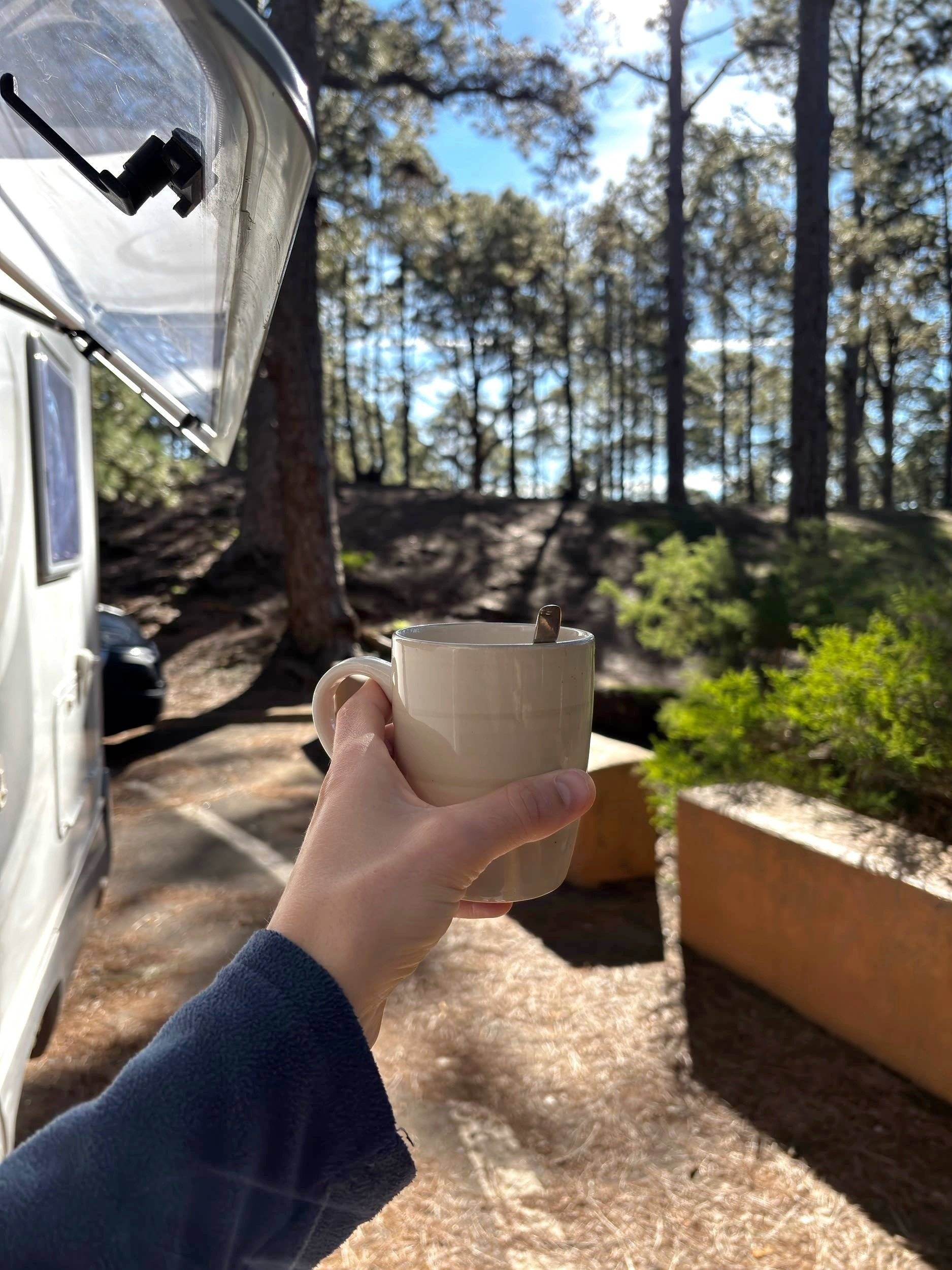 ford ford transit dinamic