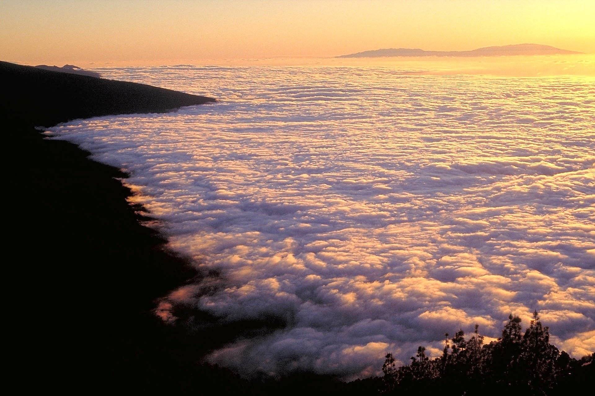 Mc louis lagan Mc lois lagan