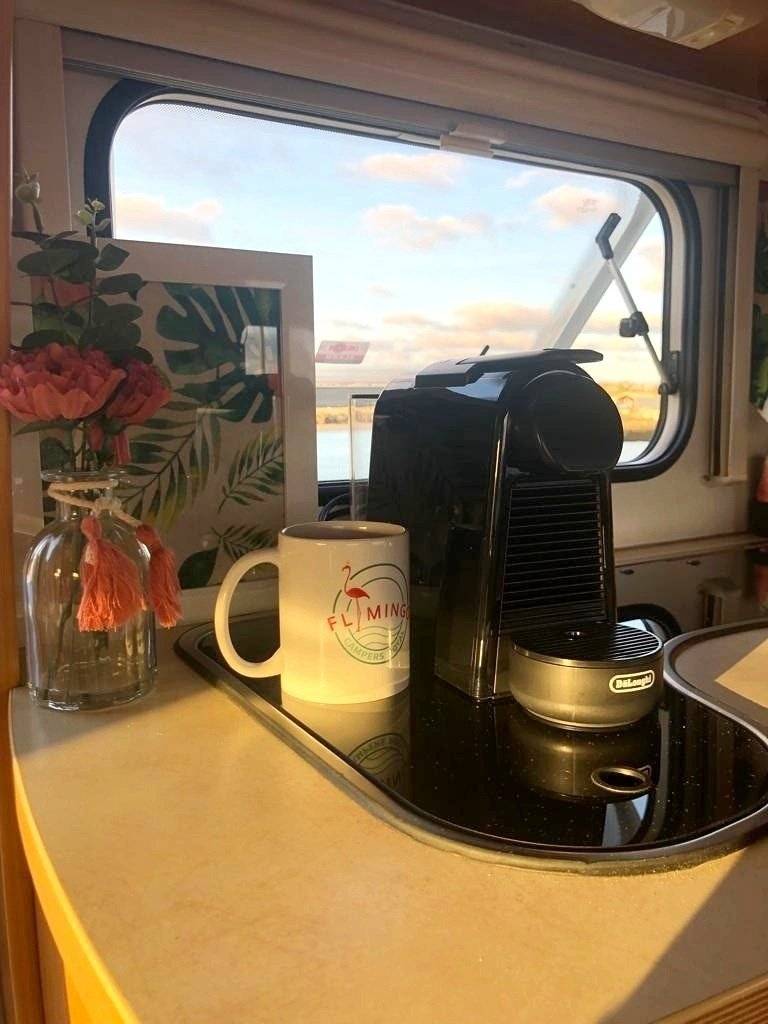 Challenger Genesis 36