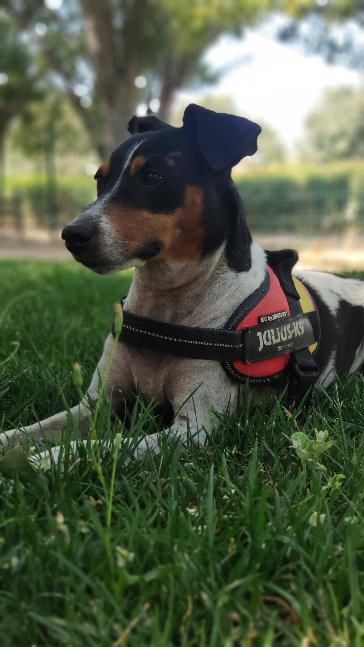 Gianfranco