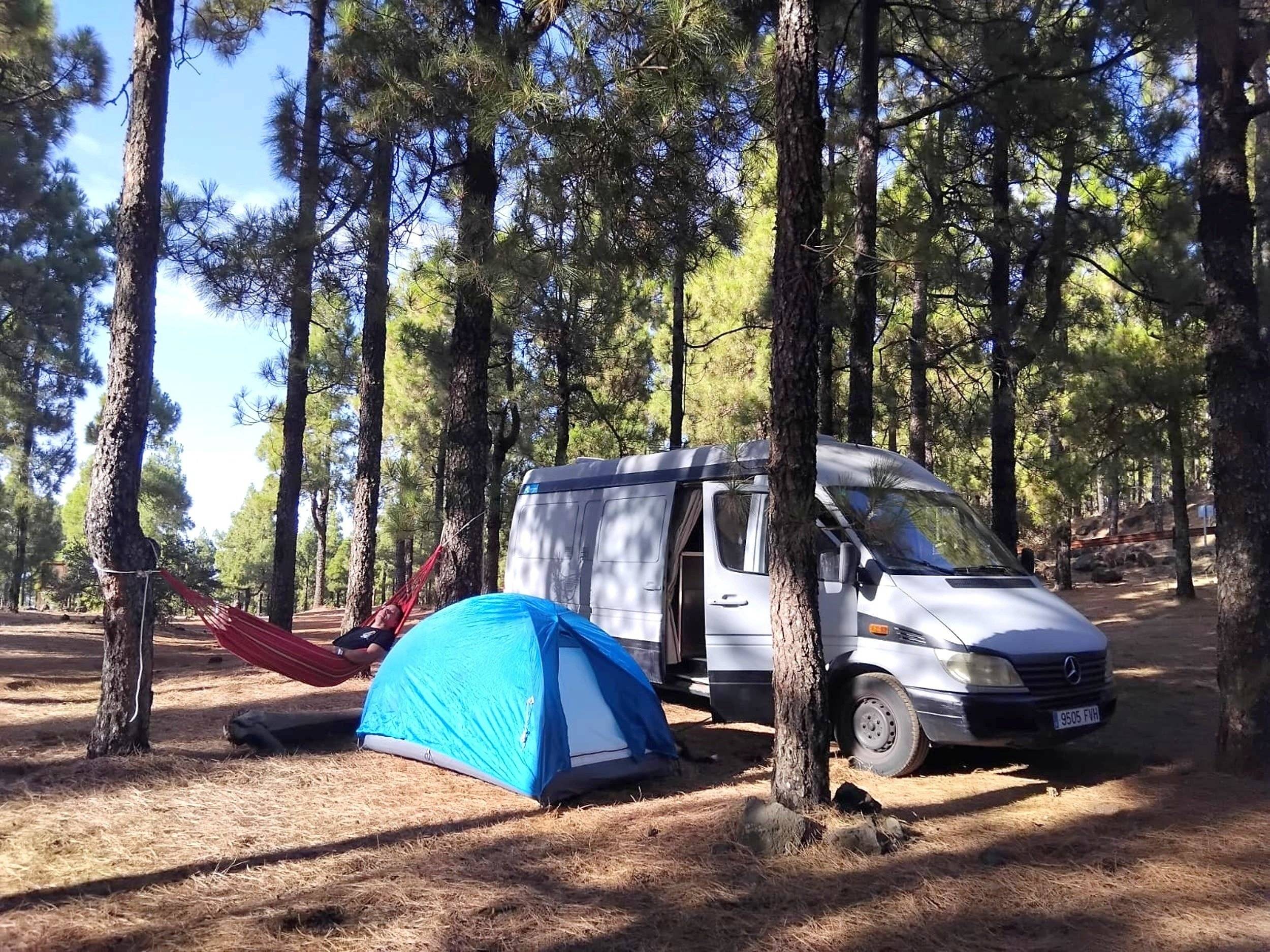 Mercedes Sprinter 313 cdi