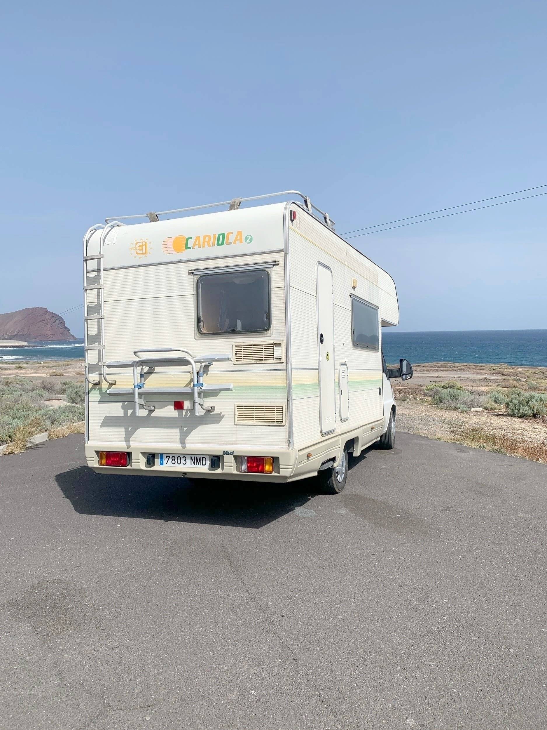 Adria Adria coral   sp660