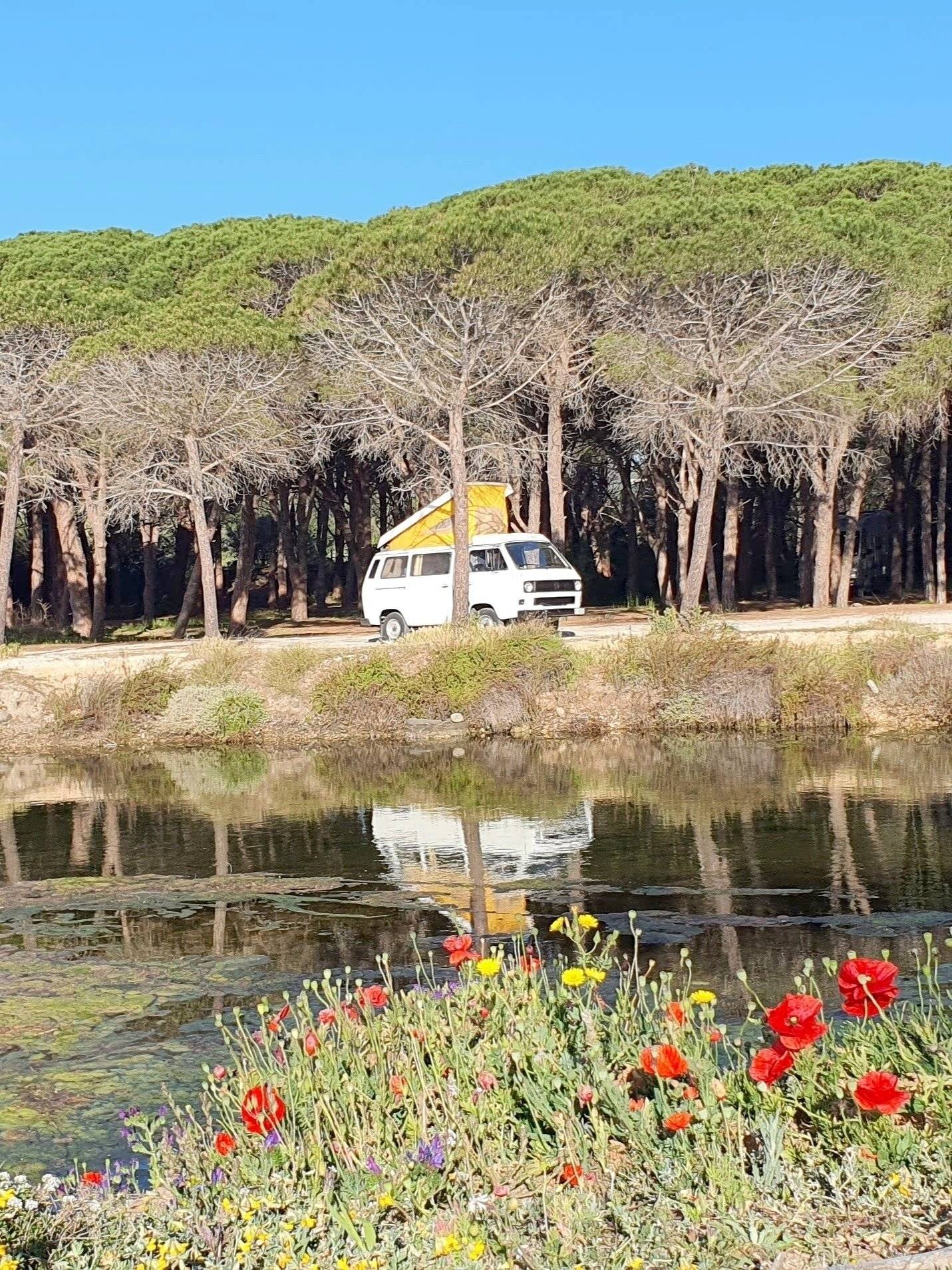 Westfalia T3 Westfalia