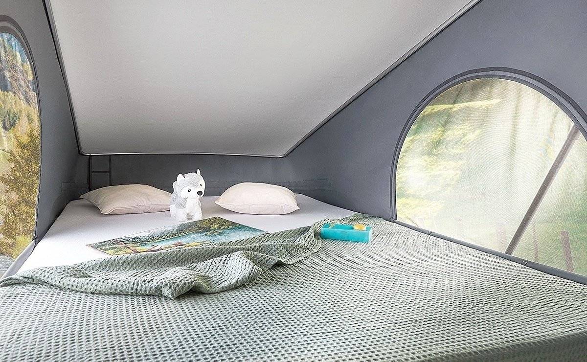 Dreamer dreamer d 55up