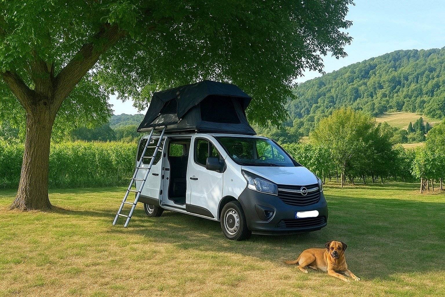 Front view from 3/4 Opel VIVARO - Yescapa