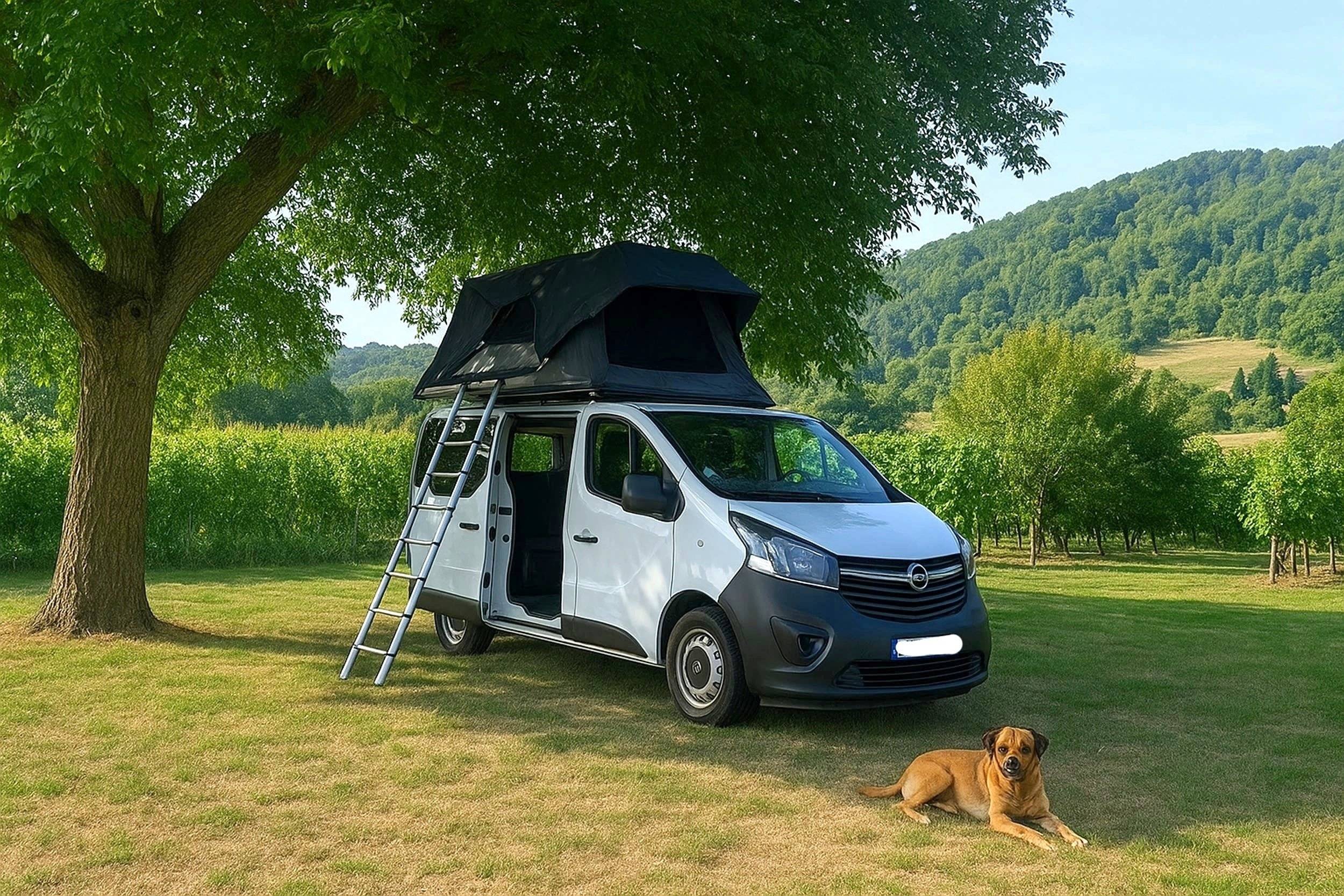 Vista del vehicle angle davanter Opel VIVARO - Yescapa