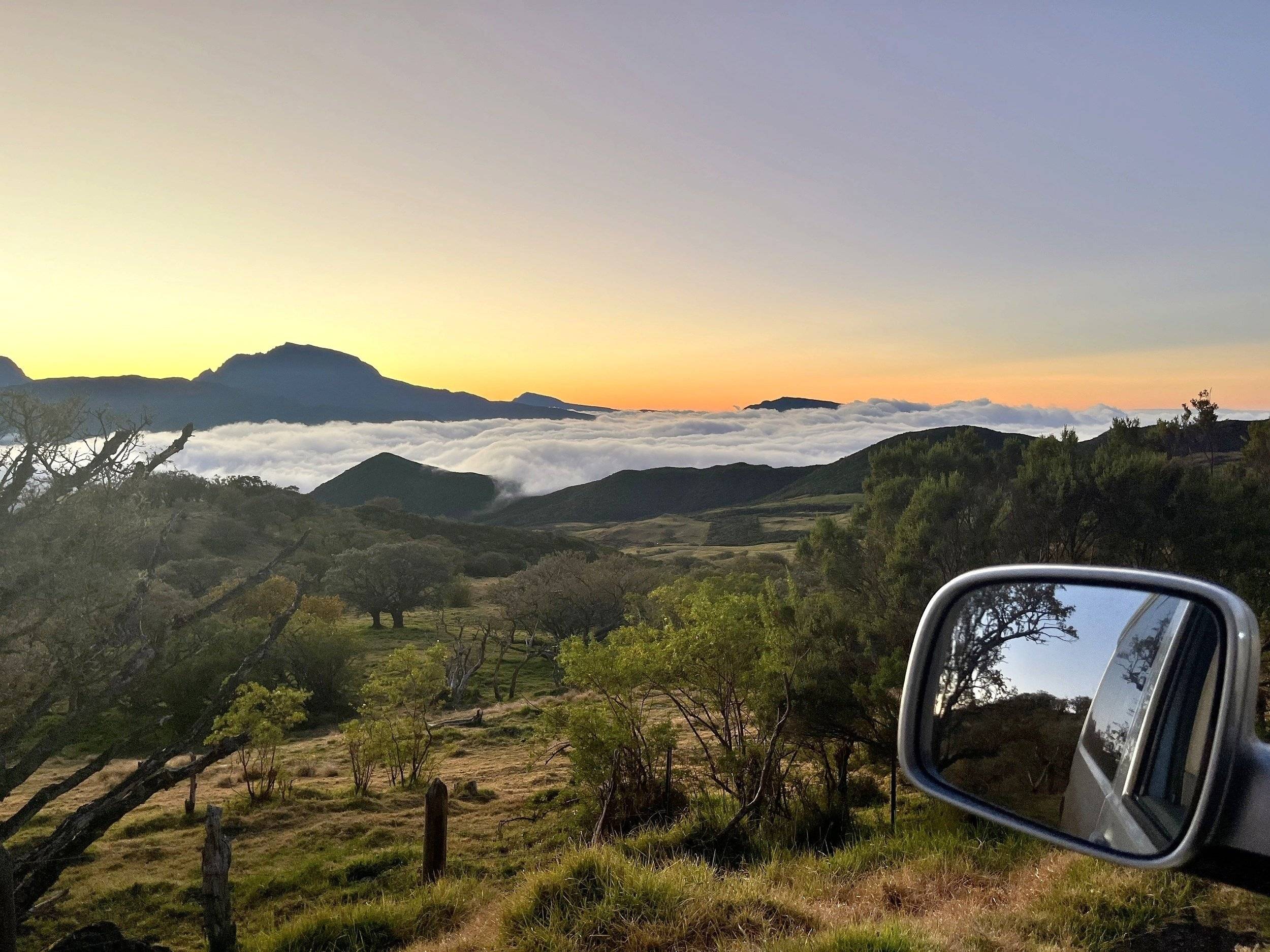 Westfalia California