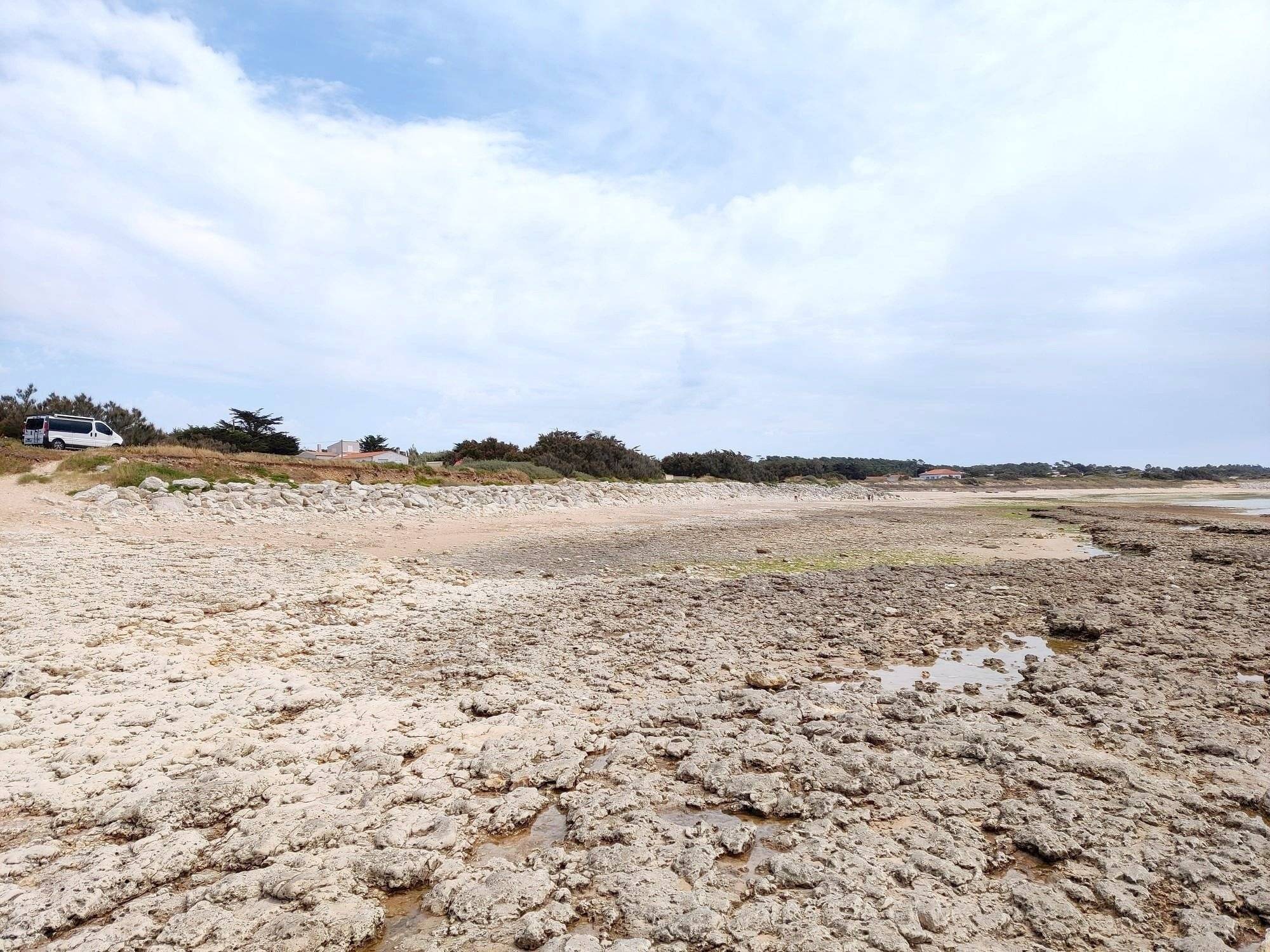 Narbonne Trafic L2H1 2 l 140 ch